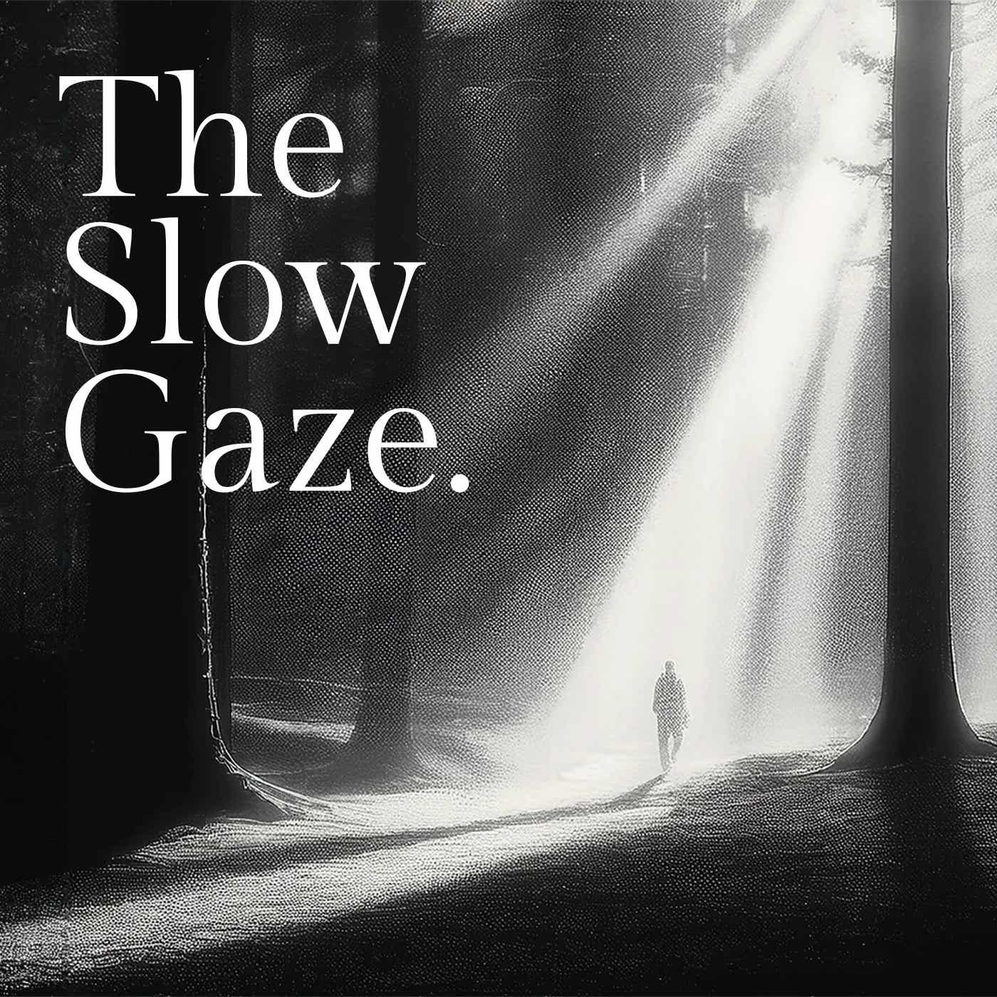The Slow Gaze