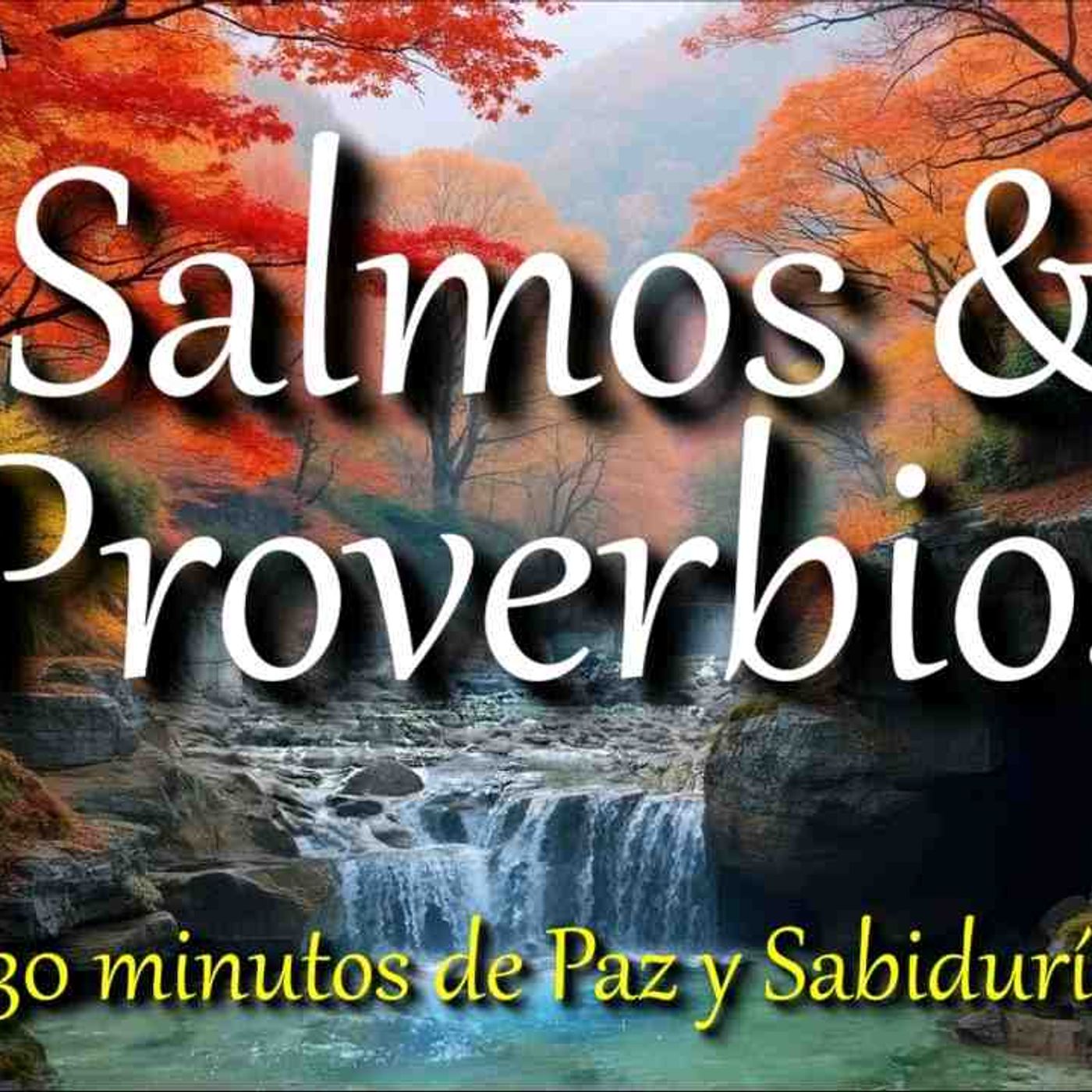Salmos _ Proverbios de la Biblia para recibir Paz de Dios _ Psalms Proverbs audio Bible in Spanish(MP3_160K) episode artwork