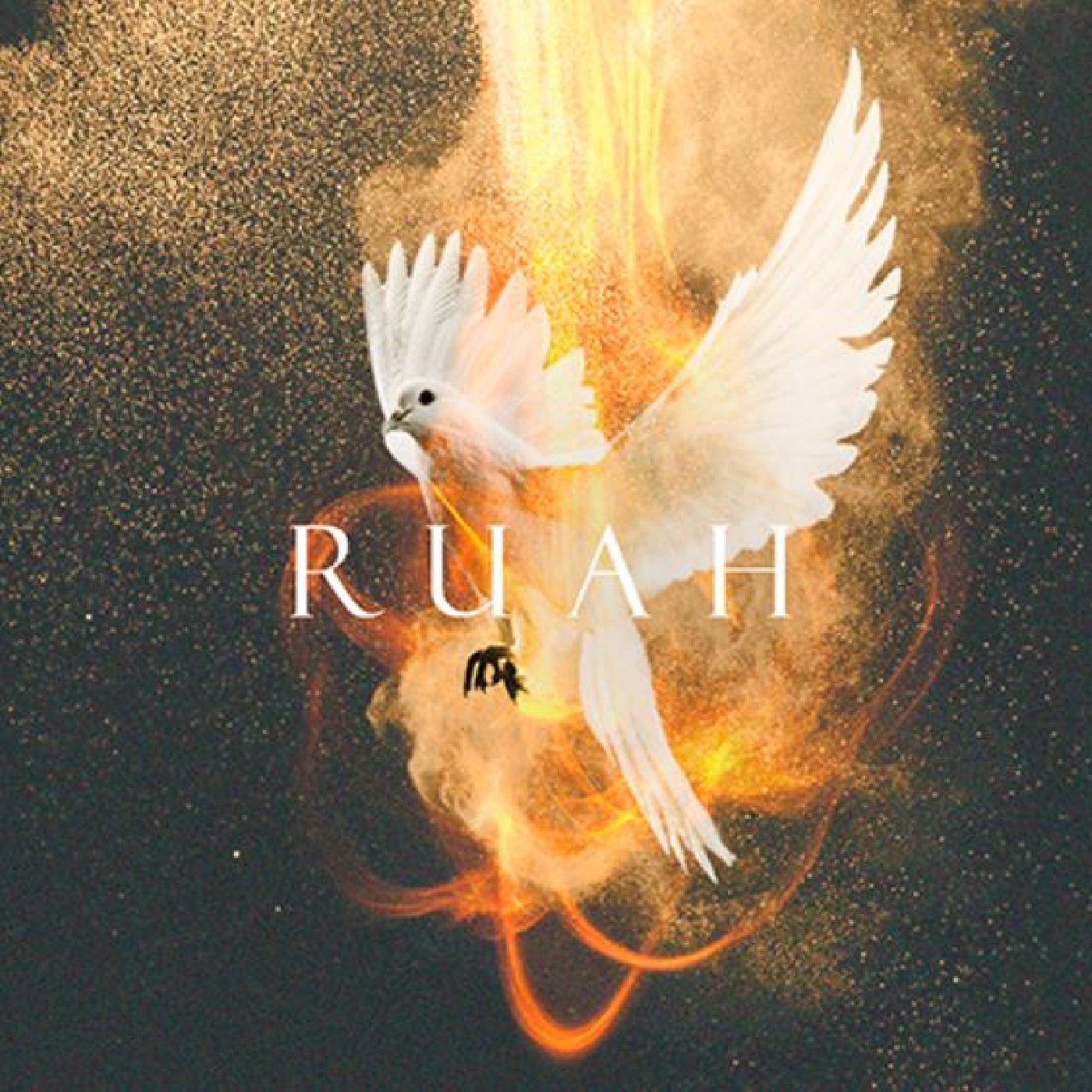 Un instant avec le RUAH ( S-E )