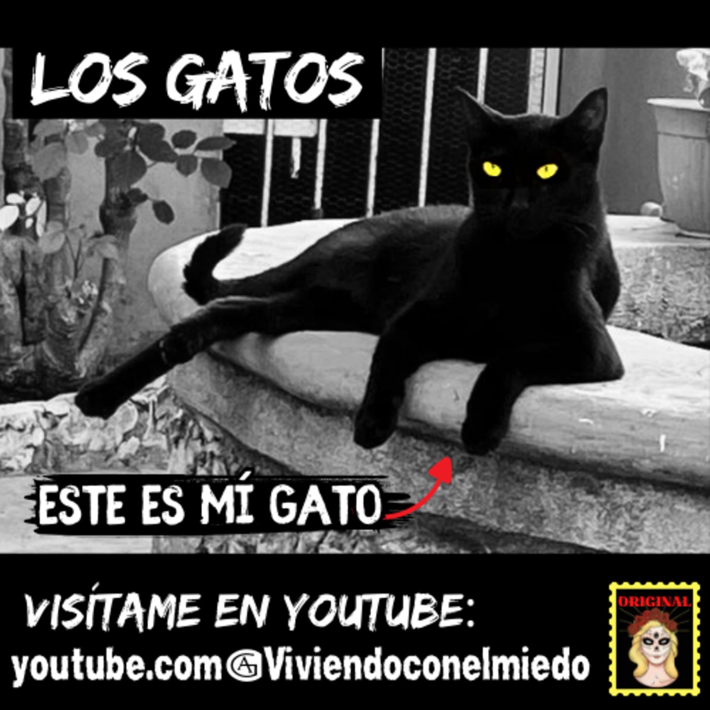 Viviendo con el miedo