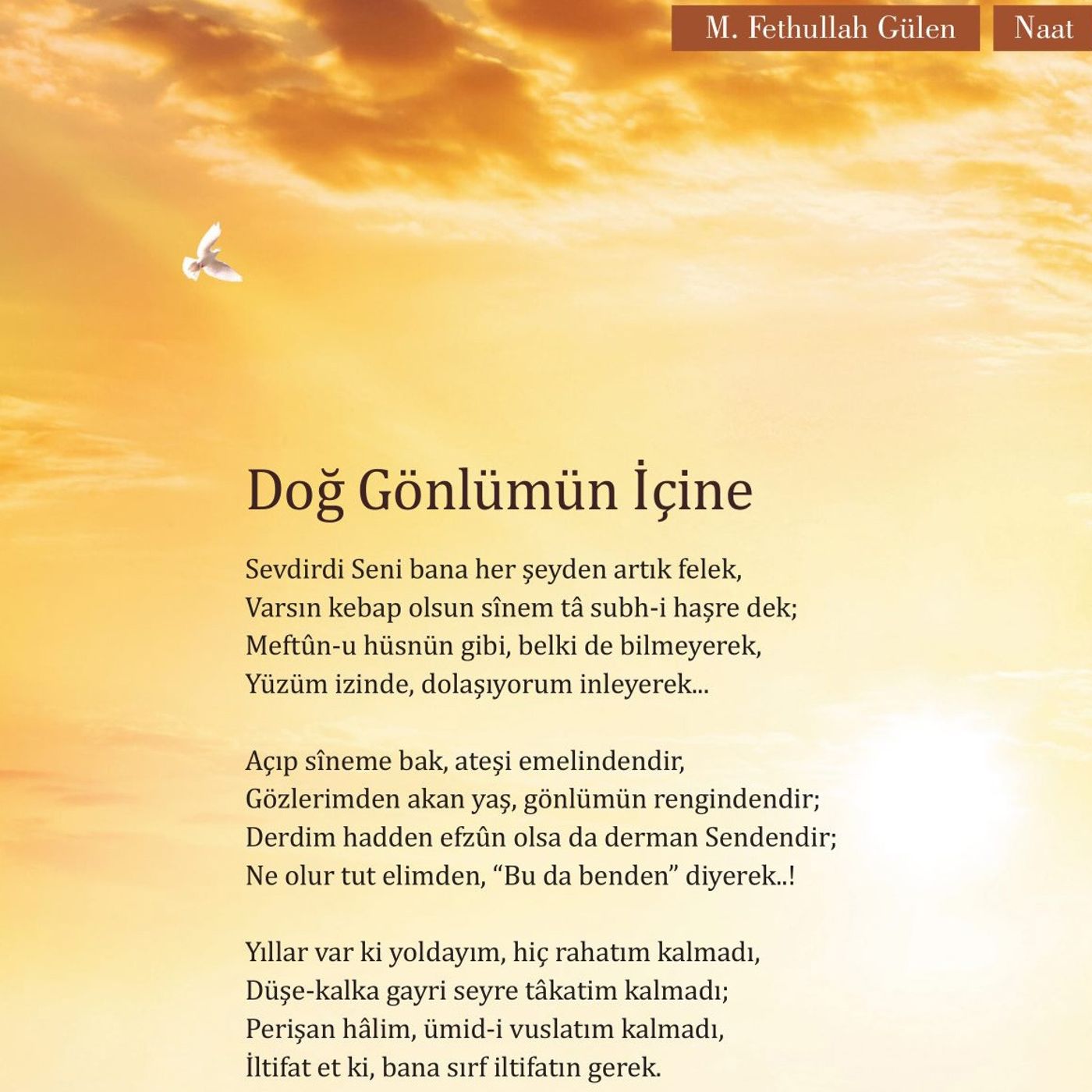 Doğ Gönlümün İçine episode artwork