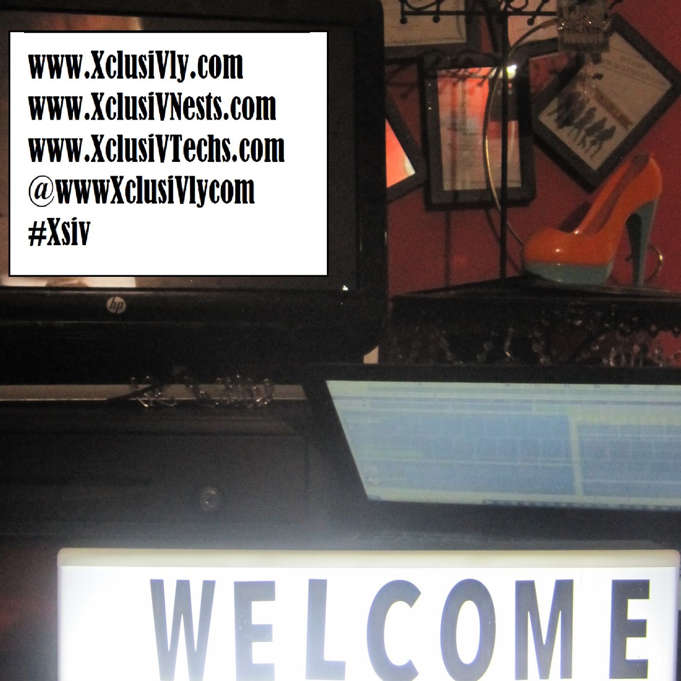 XclusiV Nests LLC\'s Entrepreneur XoRadio Guests Appearances