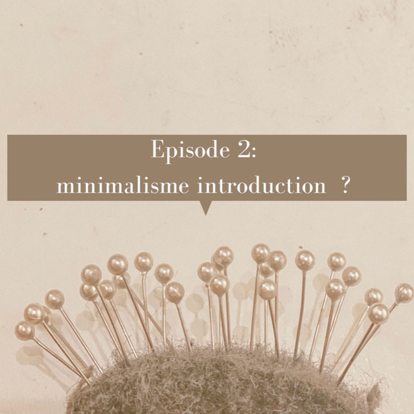 Épisode 2 Minimalisme Introduction