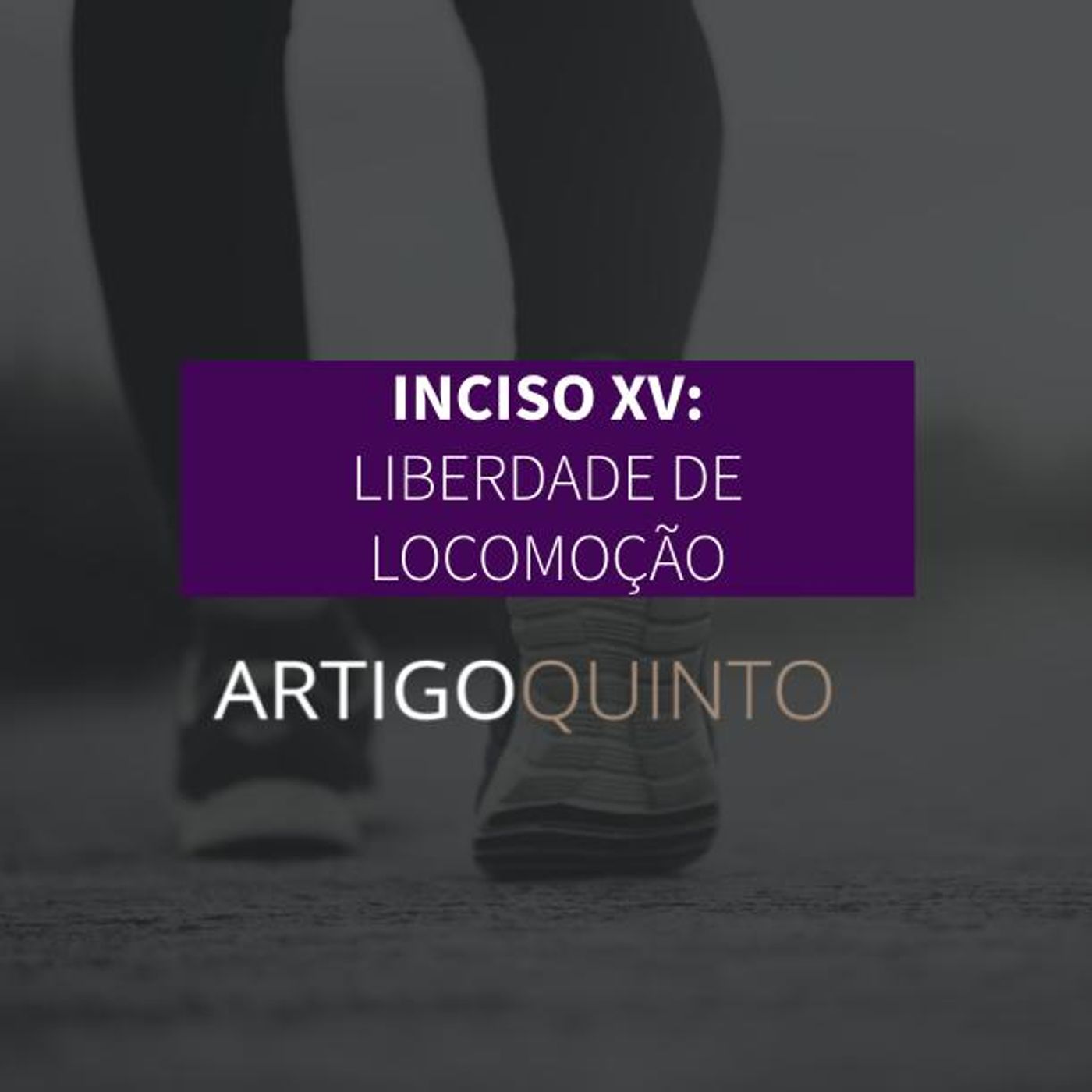 Inciso XV: Liberdade de Locomoção - Artigo 5º