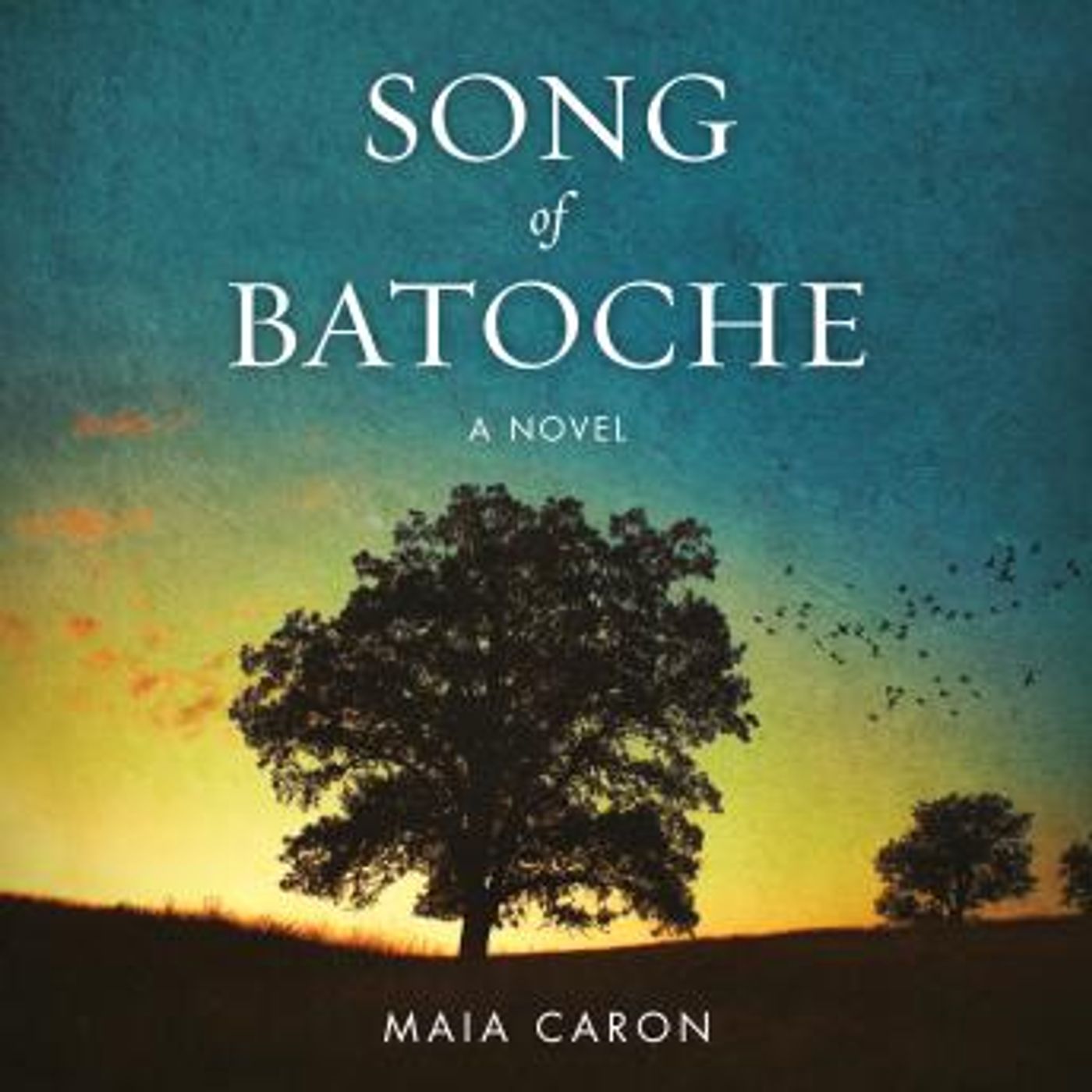 Download Best Full Audiobooks in Fiction, Contemporary Women