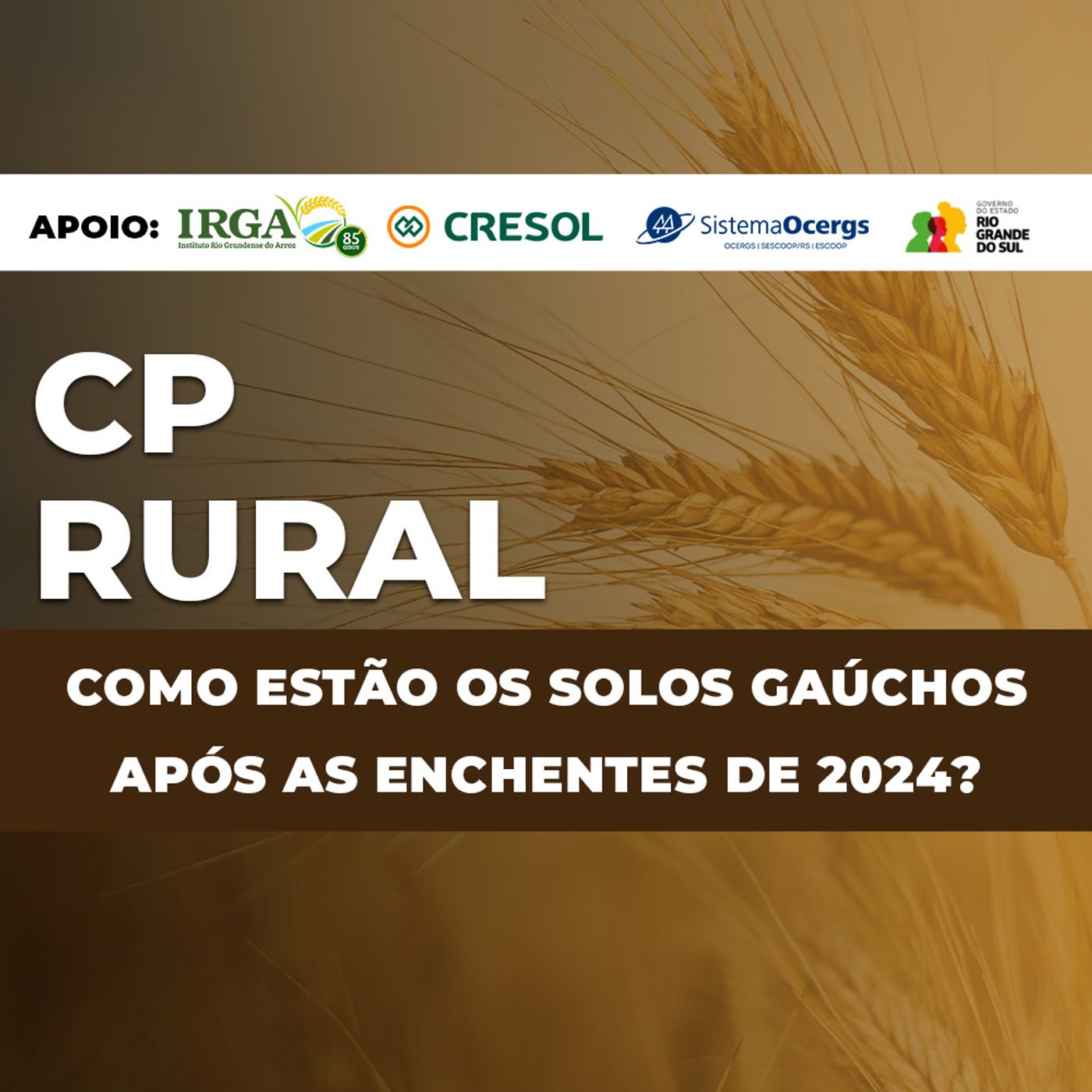 PODCAST | Como estão os solos gaúchos após as enchentes de 2024? episode artwork