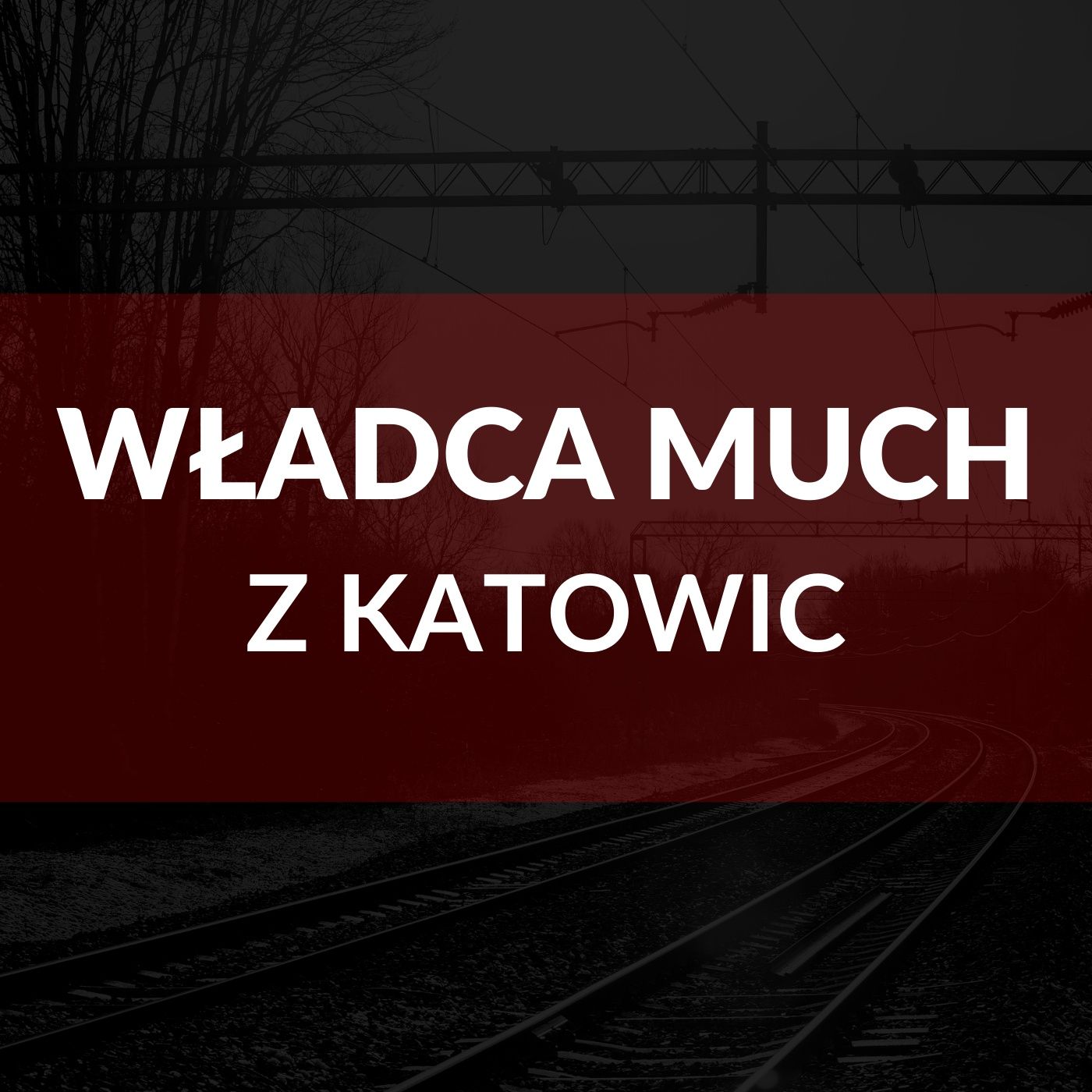 Zagłębie Młodych