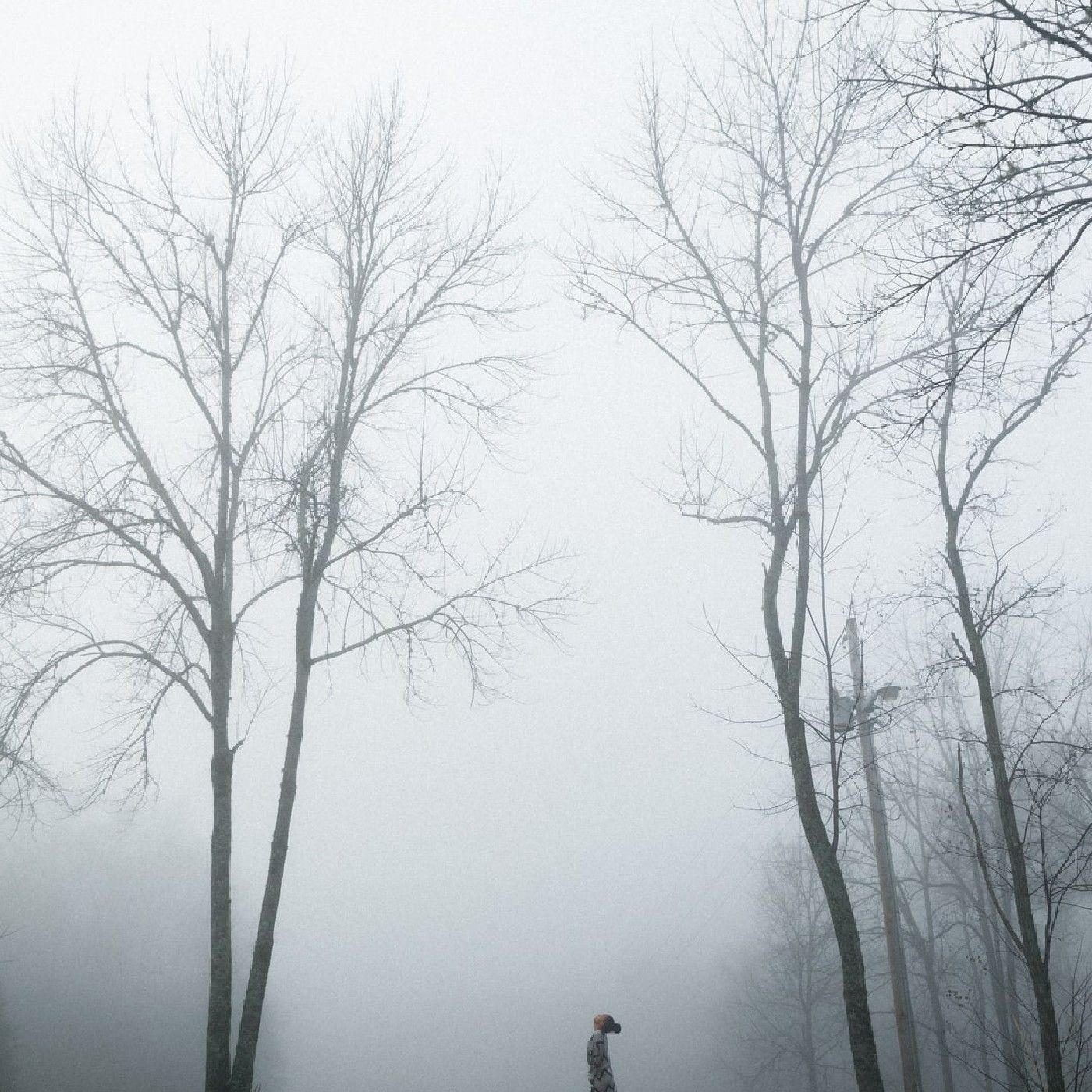 Horror With Dakotah Dixon