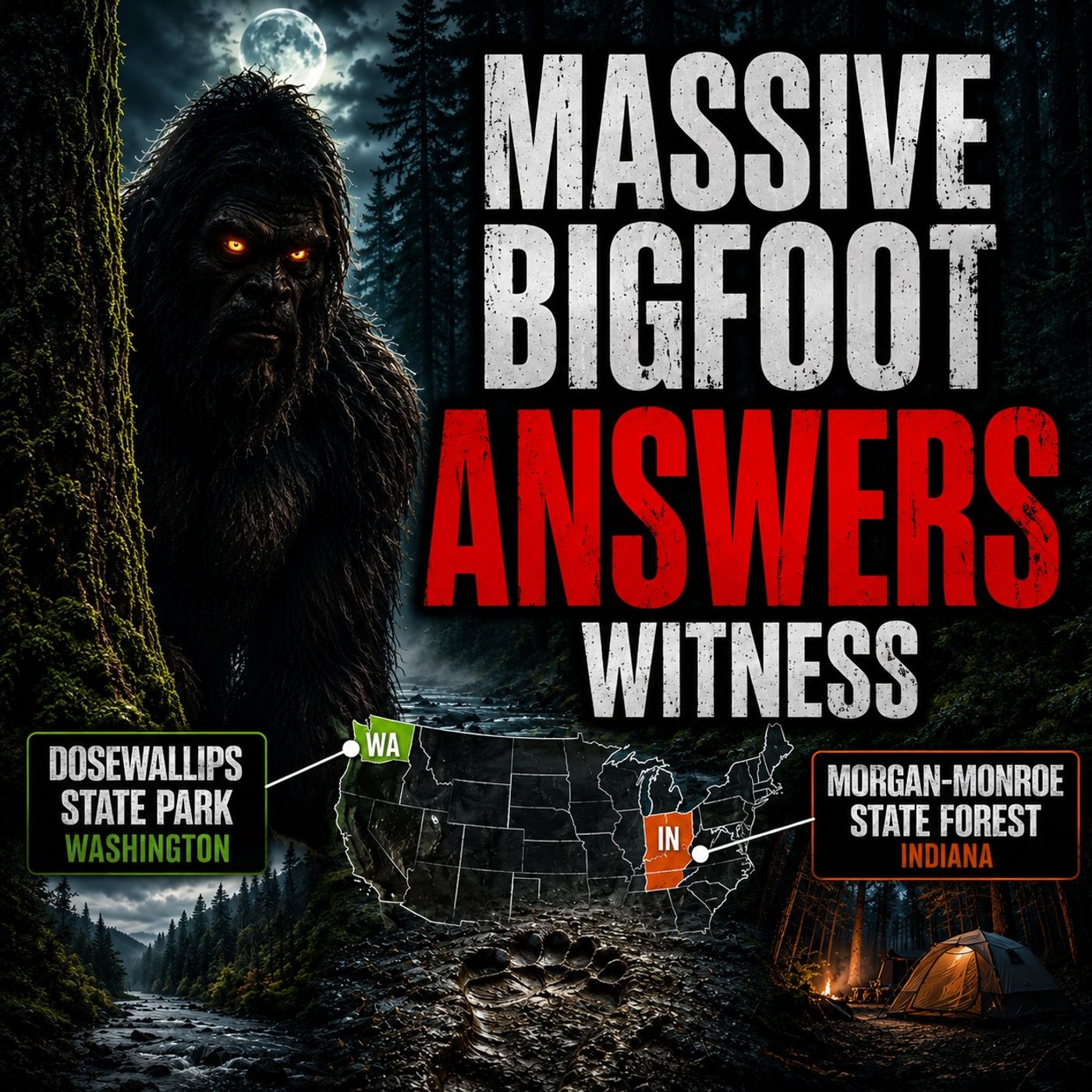MASSIVE BIGFOOT ANSWERS WITNESS AT DOSEWALLIPS STATE PARK | WASHINGTON