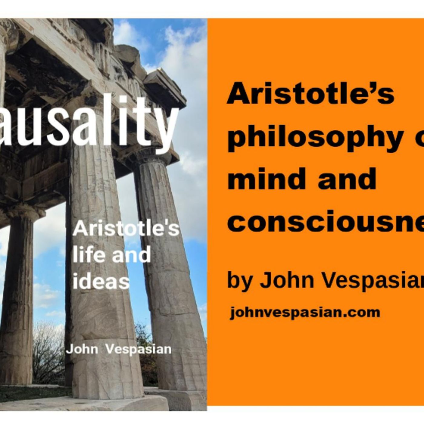 Aristotle’s philosophy of mind and consciousness episode artwork