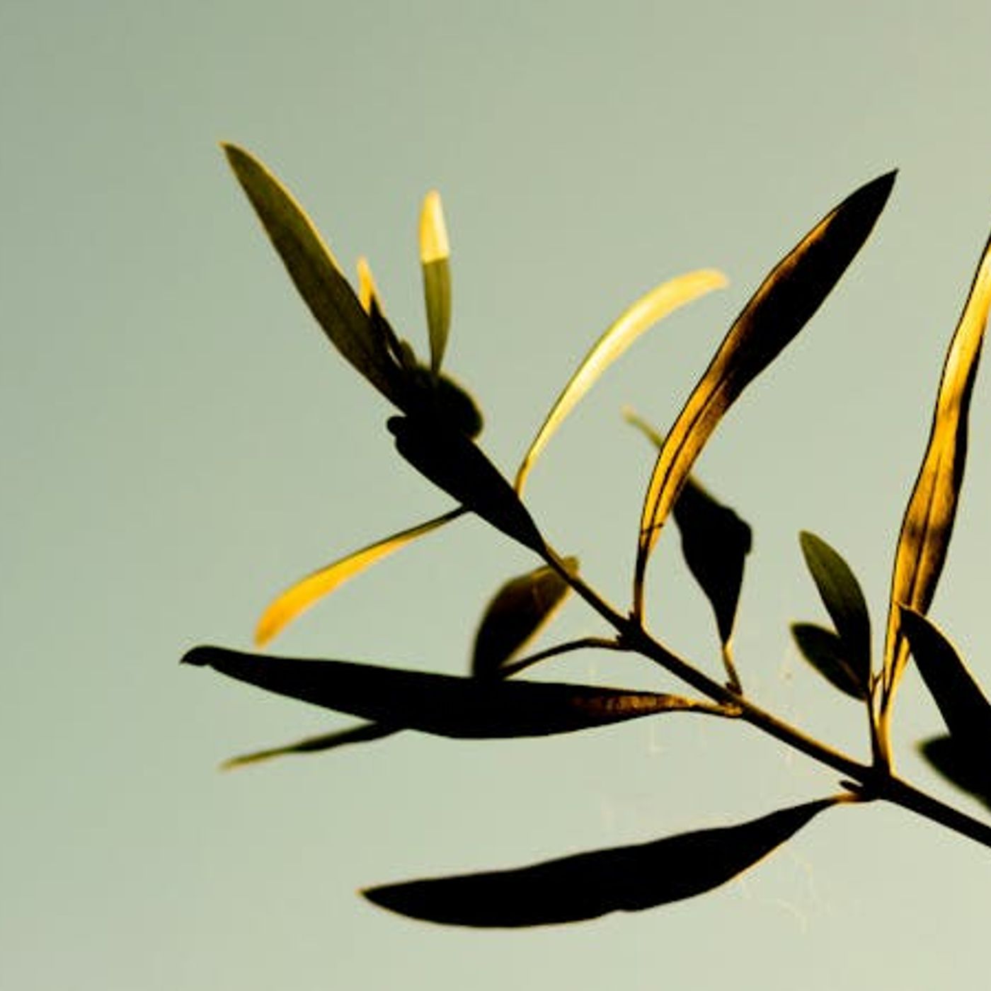 How Do I Become Happy in God?