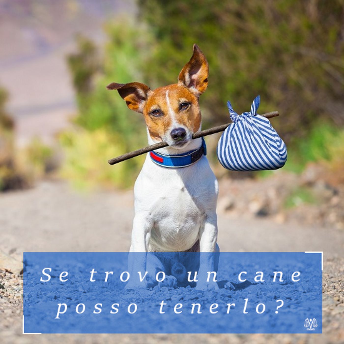 Avvocato di famiglia