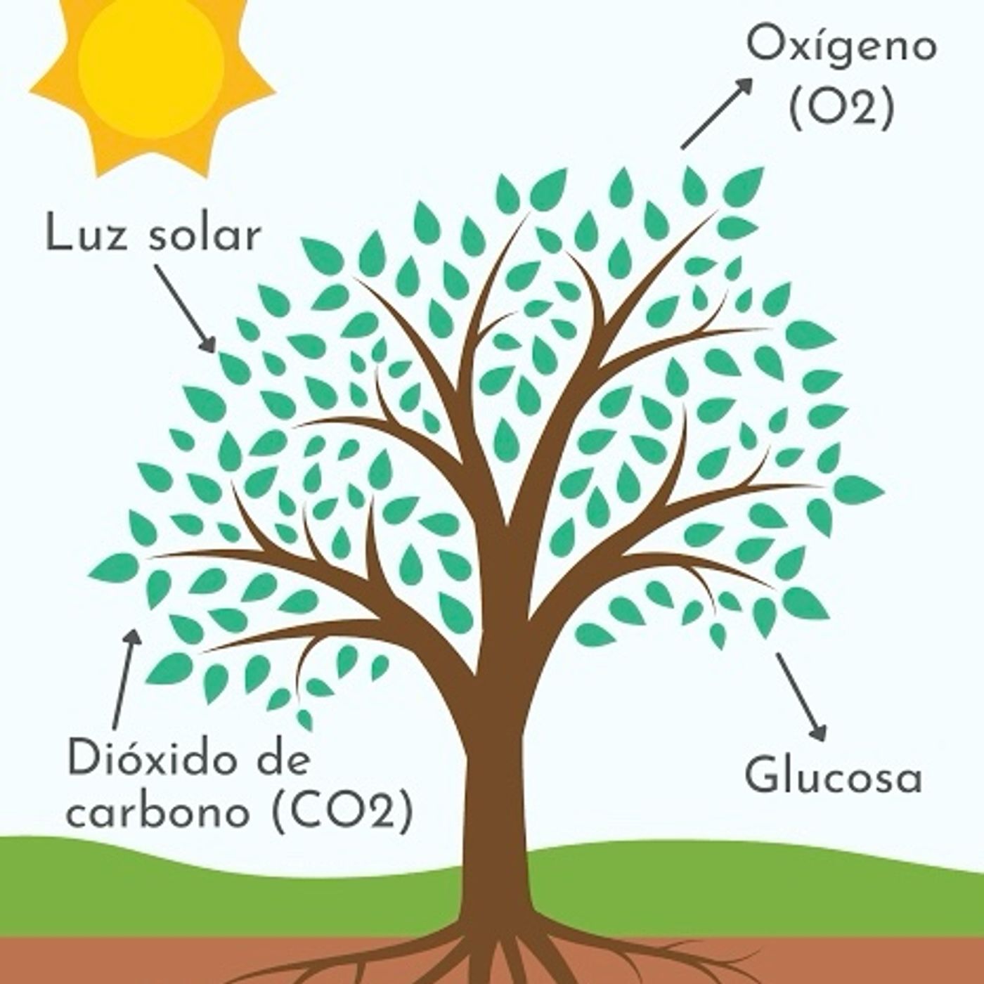El podcast de Uribe Palomo Danna episode artwork