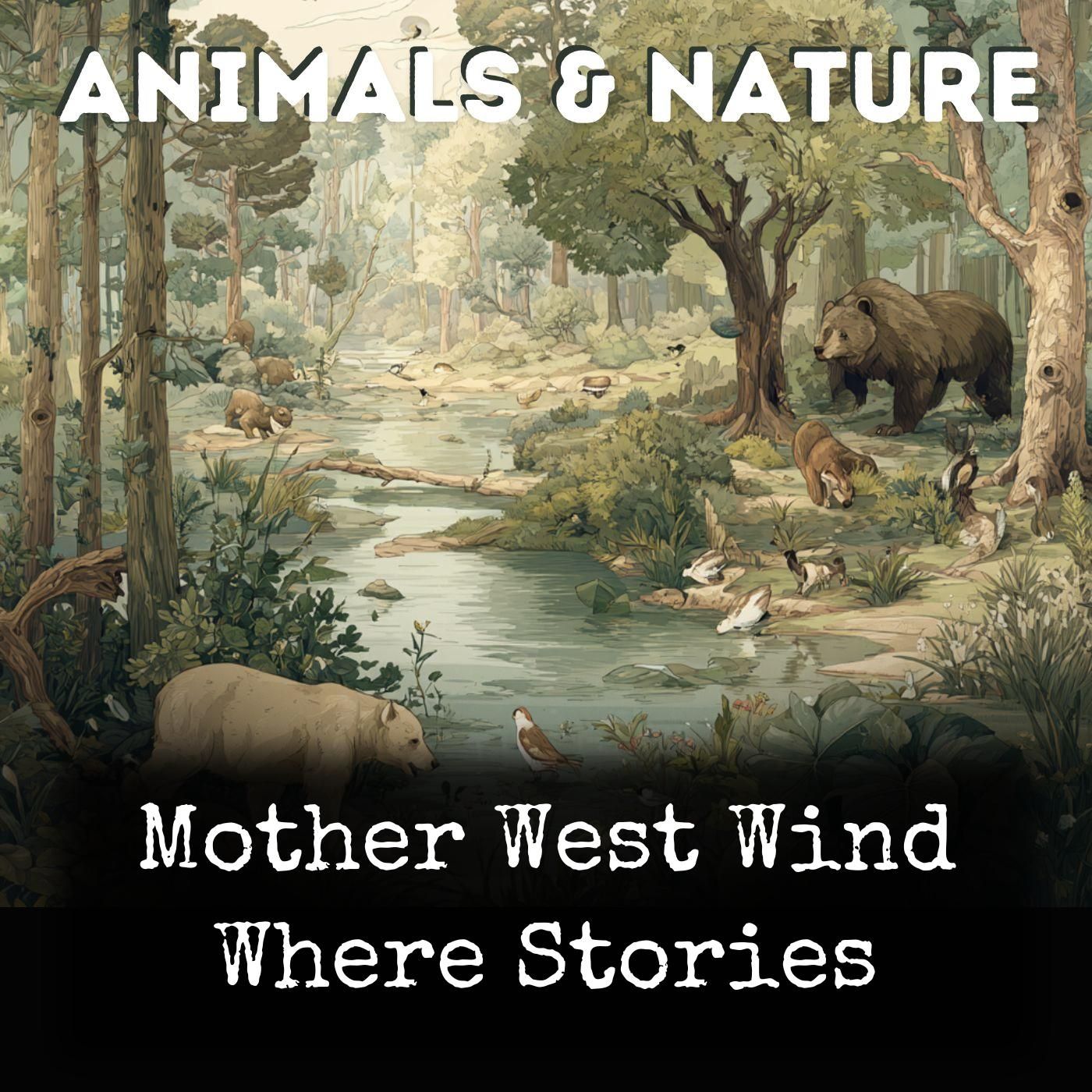 Mother West Wind Where Stories cover art