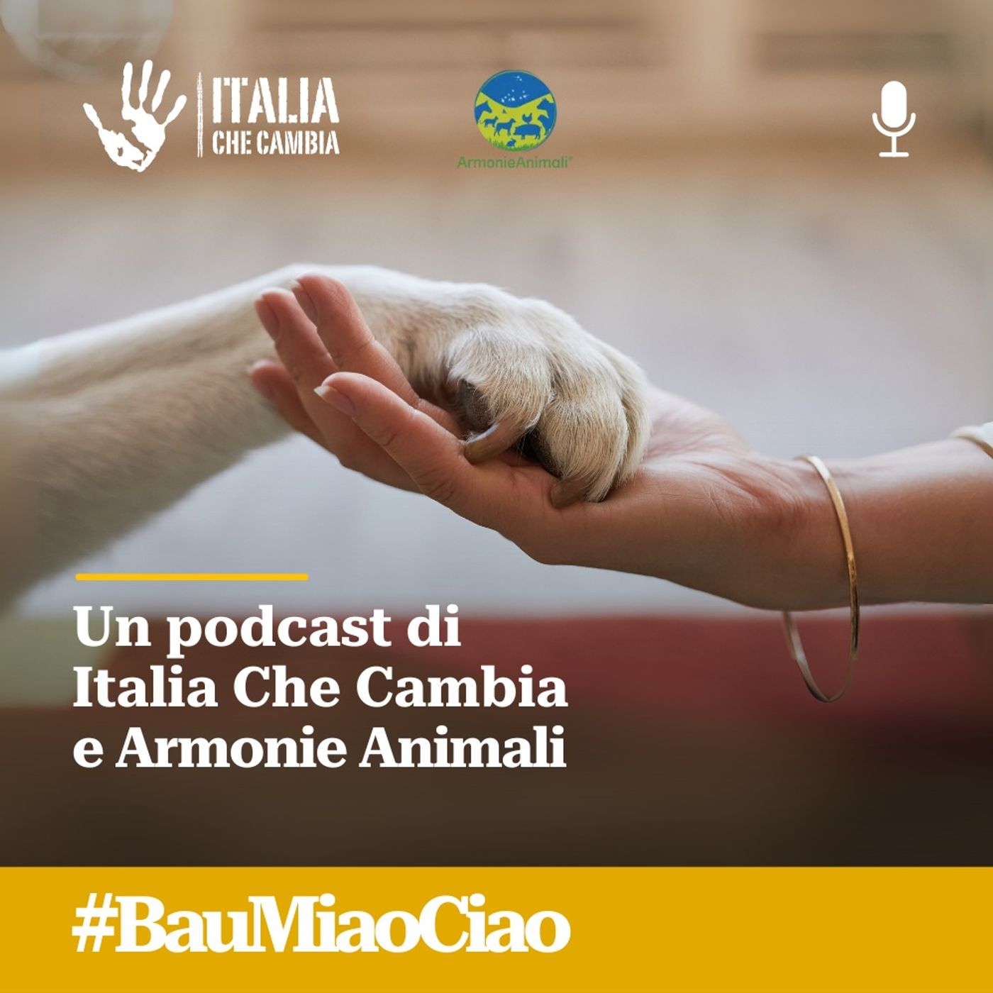 Bau, Miao, Ciao