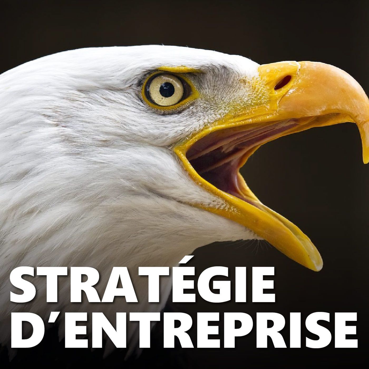 Peut-on définir sa stratégie d’entreprise sans être un expert ? #123