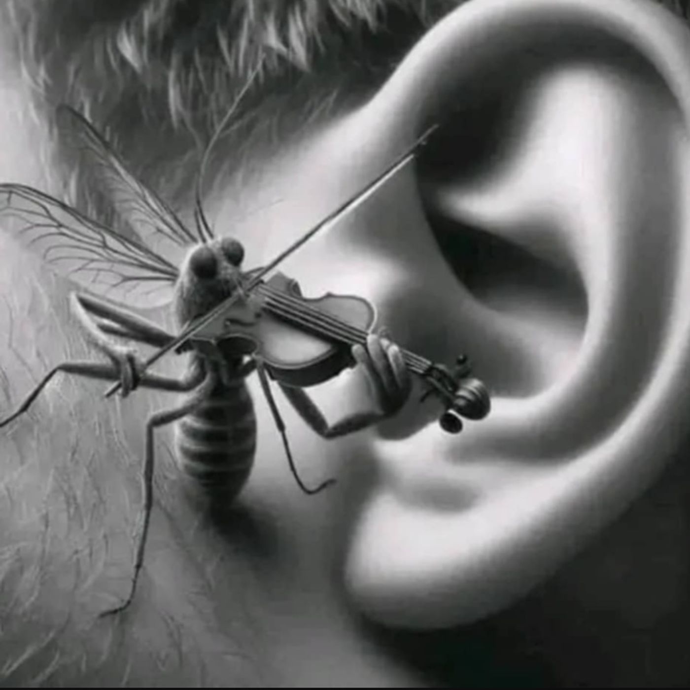 The Bibliophile's Journey