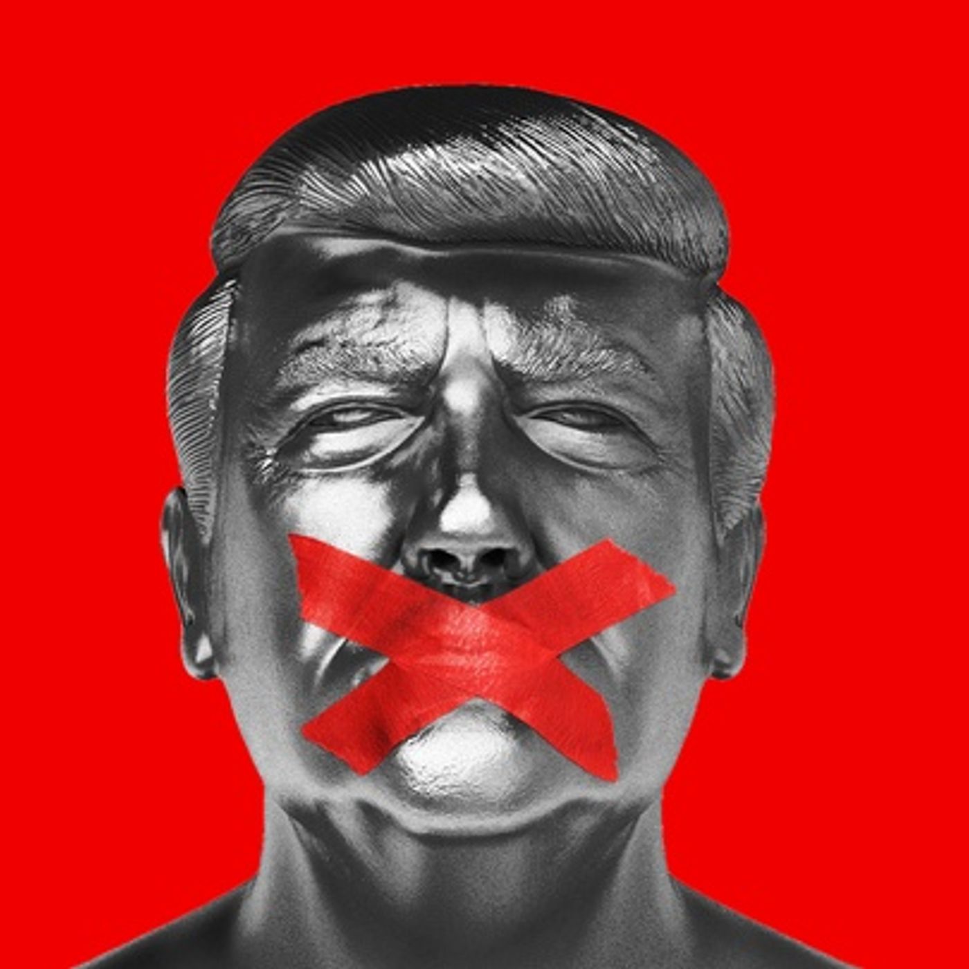 What Our Options Are if Trump 2020 is stolen from us