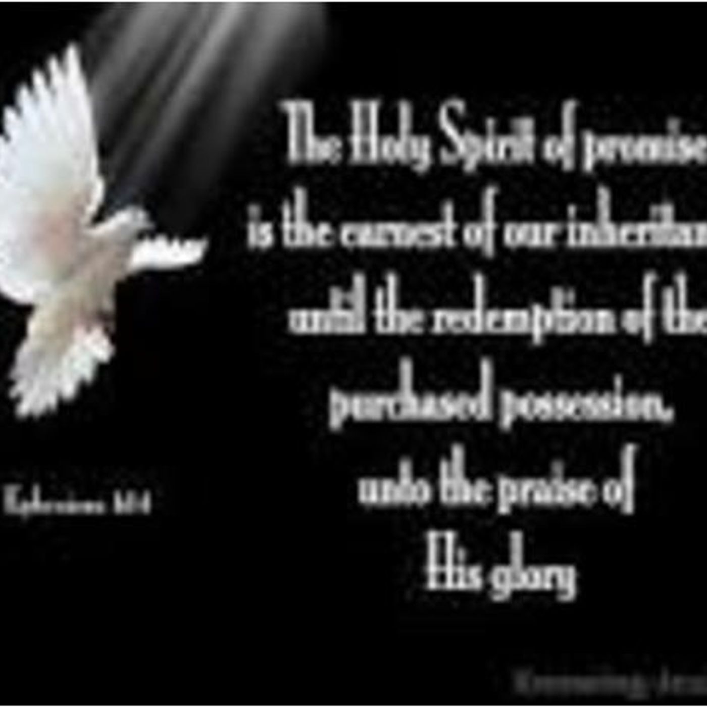 Spirit Alive Praise And Worship Experience: The Pledge Of Our Inheritance episode artwork