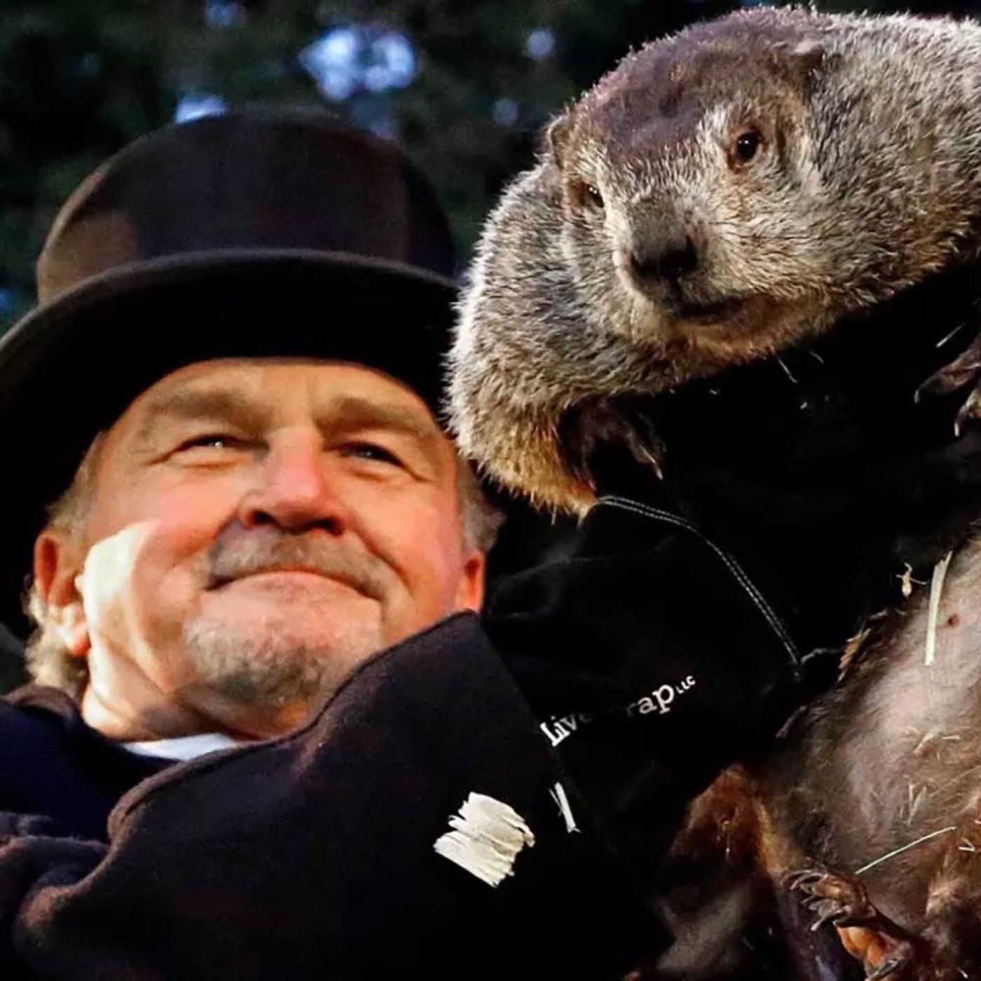 🐿️ Groundhog Day 2026: Shadows, Folklore, and Winter Predictions episode artwork