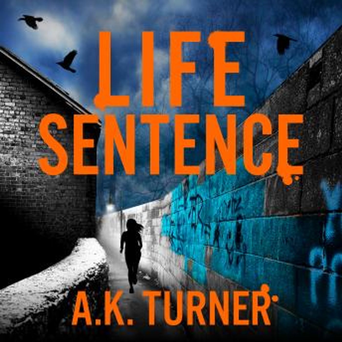 Listen to Top Full Audiobooks in Mystery, Thriller & Horror, Police & Detective