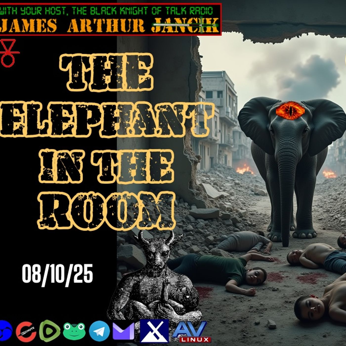 F2F Radio: The Elephant in room w-Les Visible episode artwork