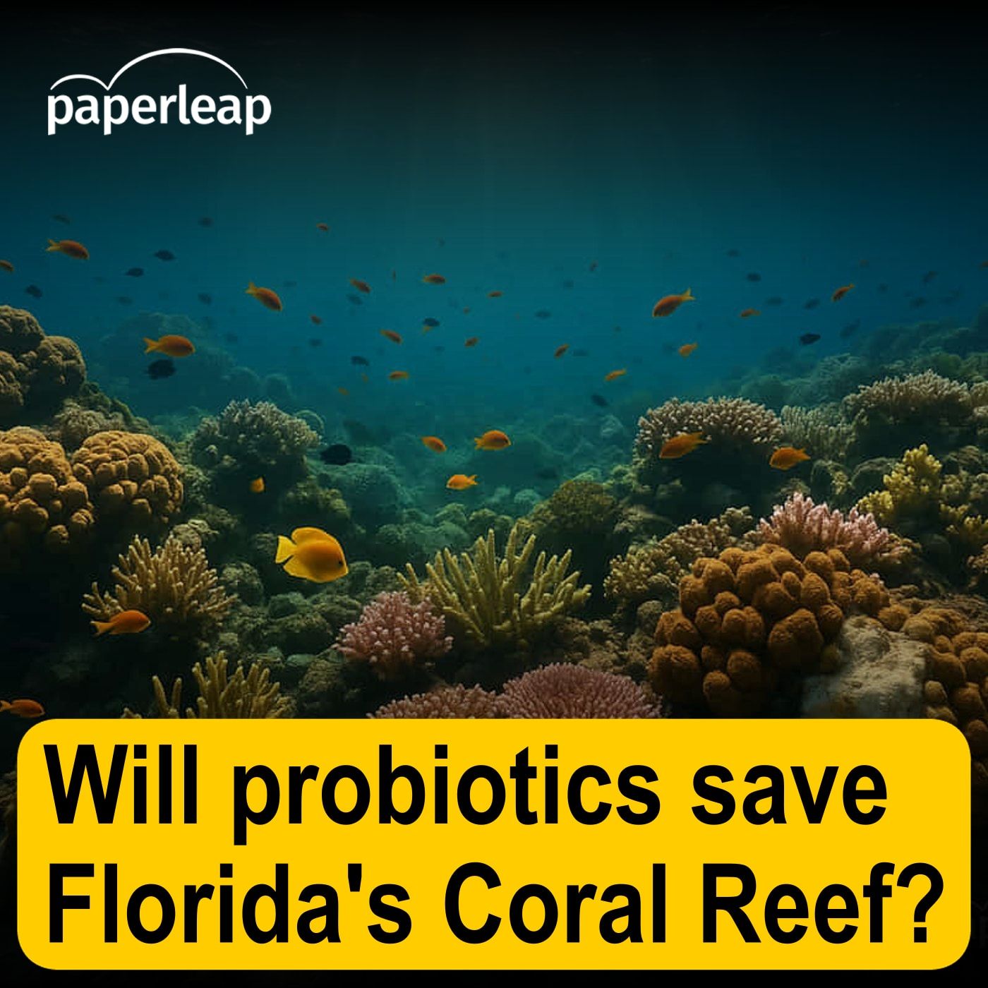 Will probiotics save Florida's Coral Reef? Will probiotics save Florida's Coral Reef?