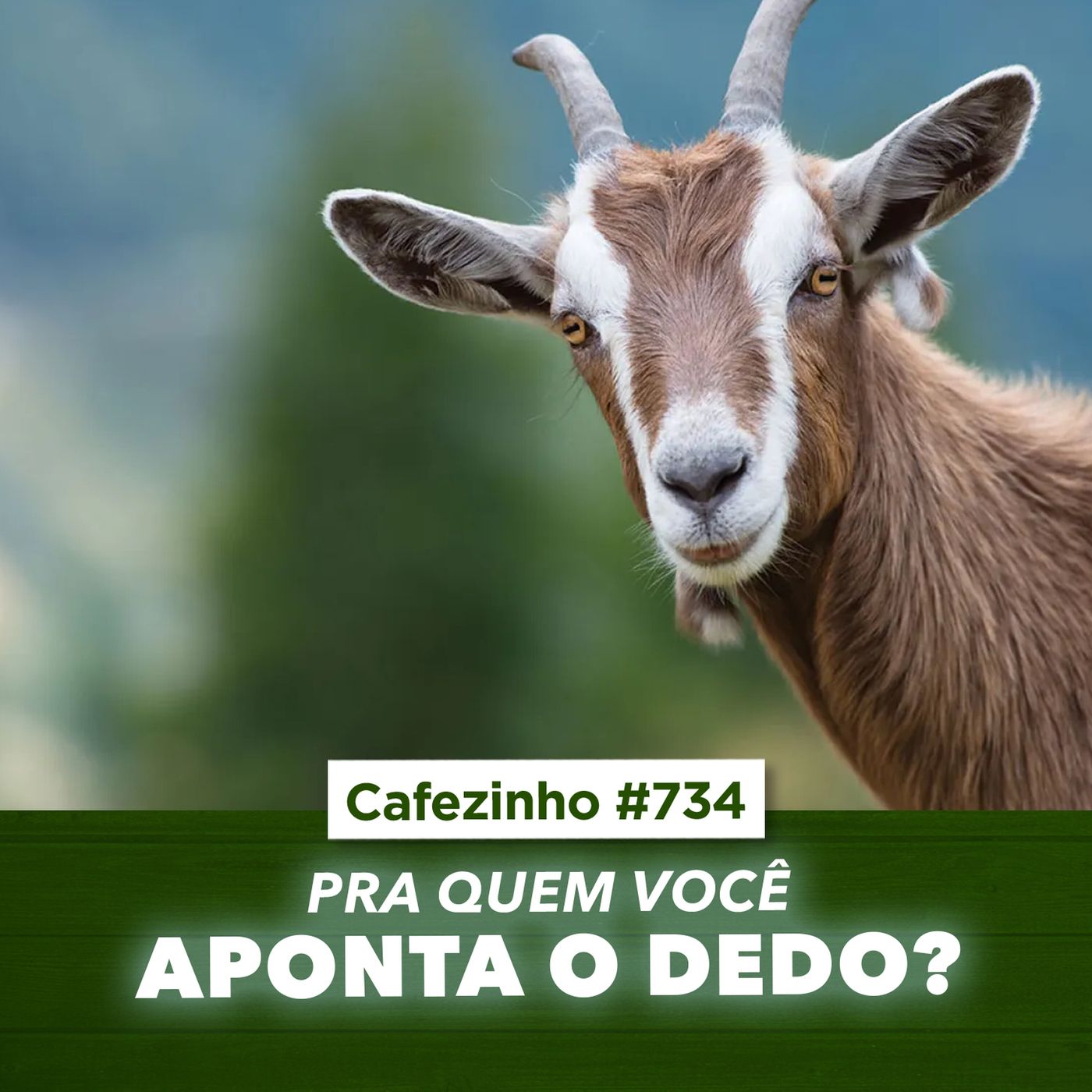 Cafezinho 734 - Para quem você aponta o dedo?
