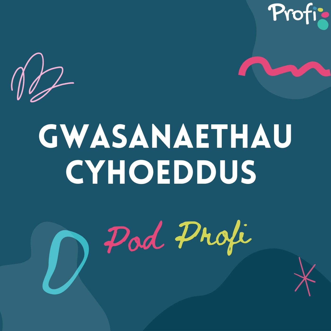 Pod Profi