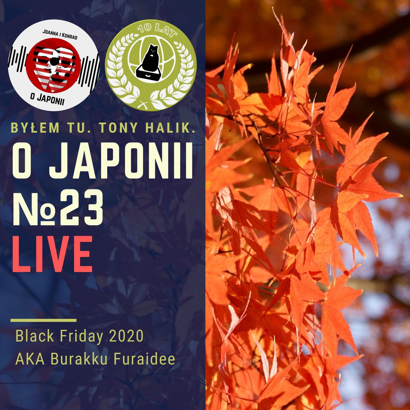 LIVE: Black Friday - szukamy japońskich okazji