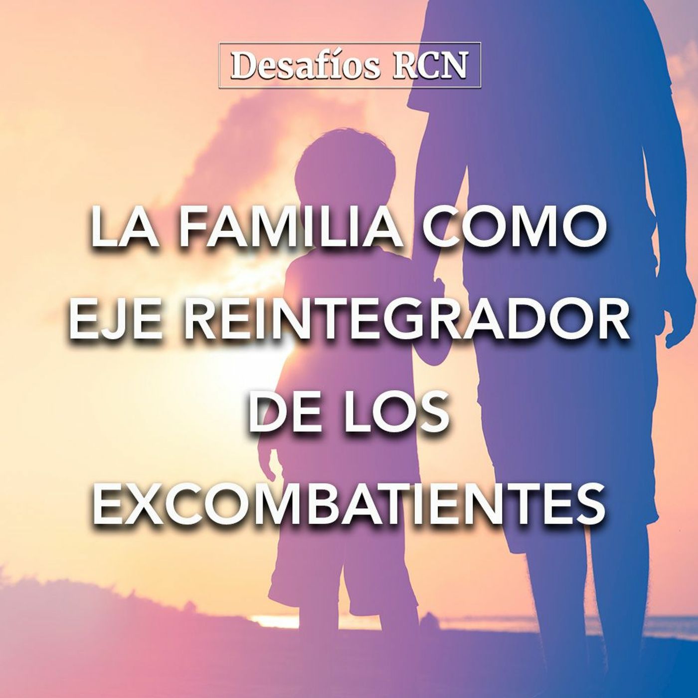 La familia como eje reintegrador de los excombatientes | Desafíos RCN-Javeriana episode artwork