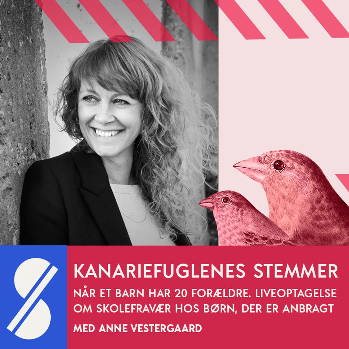 Kanariefuglenes stemmer