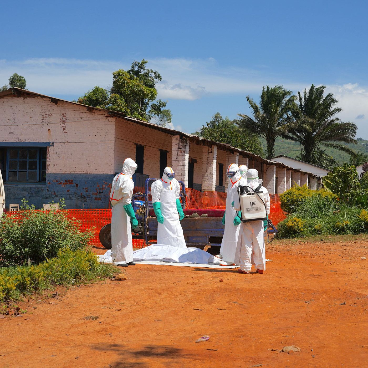 Ceticismo, dúvida e medo dificultam combate ao ebola episode artwork