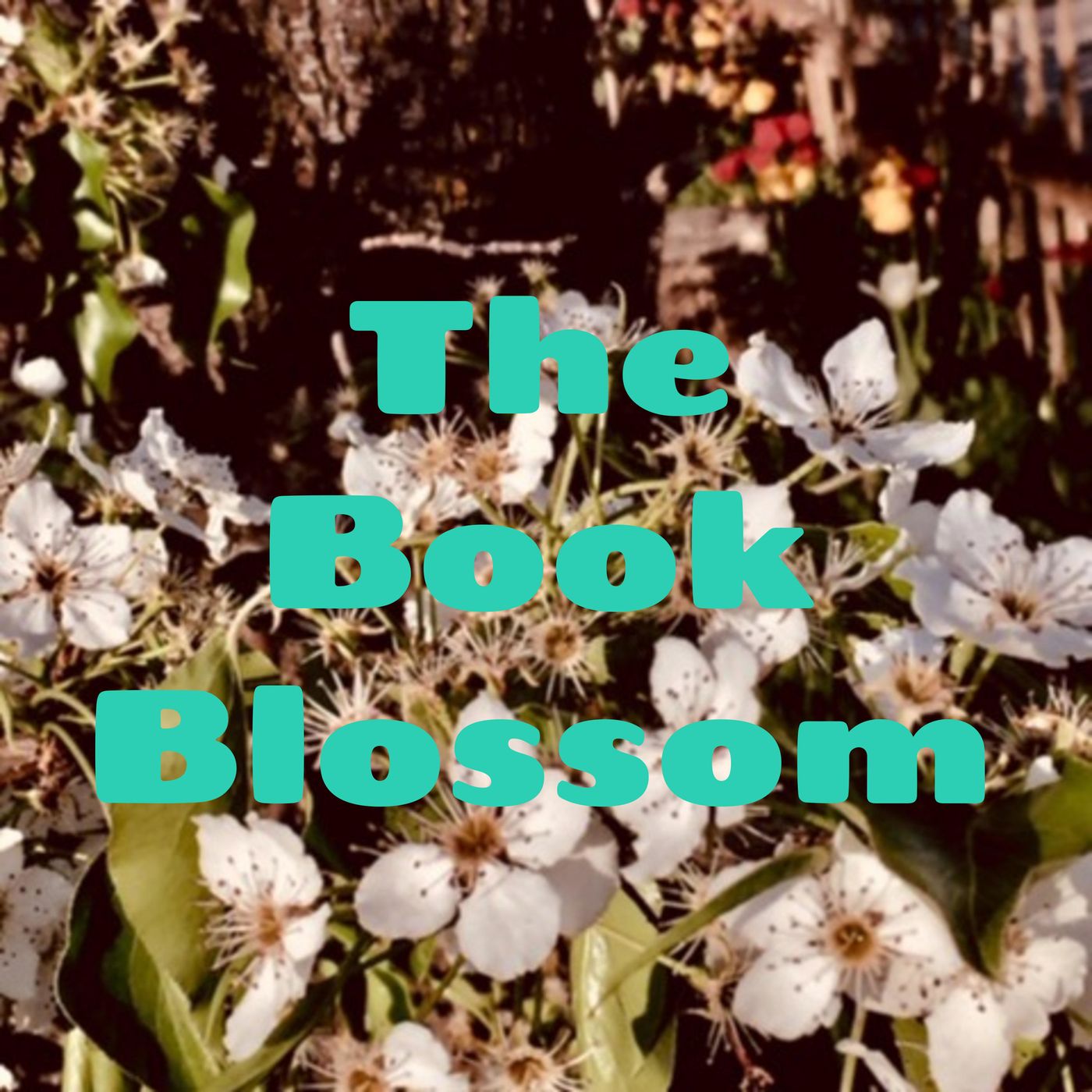 The 
Book Blossom
