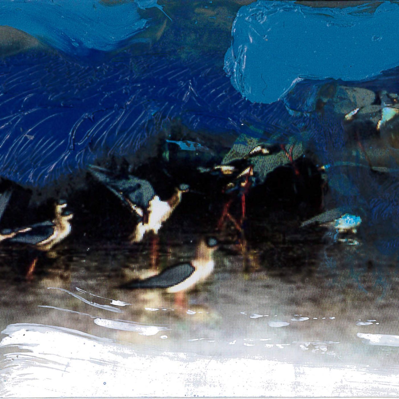 CANTICO Angelo Magro, Poesie - Osvaldo Negra “Operazione Balie Nere” CANTICO Angelo Magro, Poesie - Osvaldo Negra “Operazione Balie Nere”