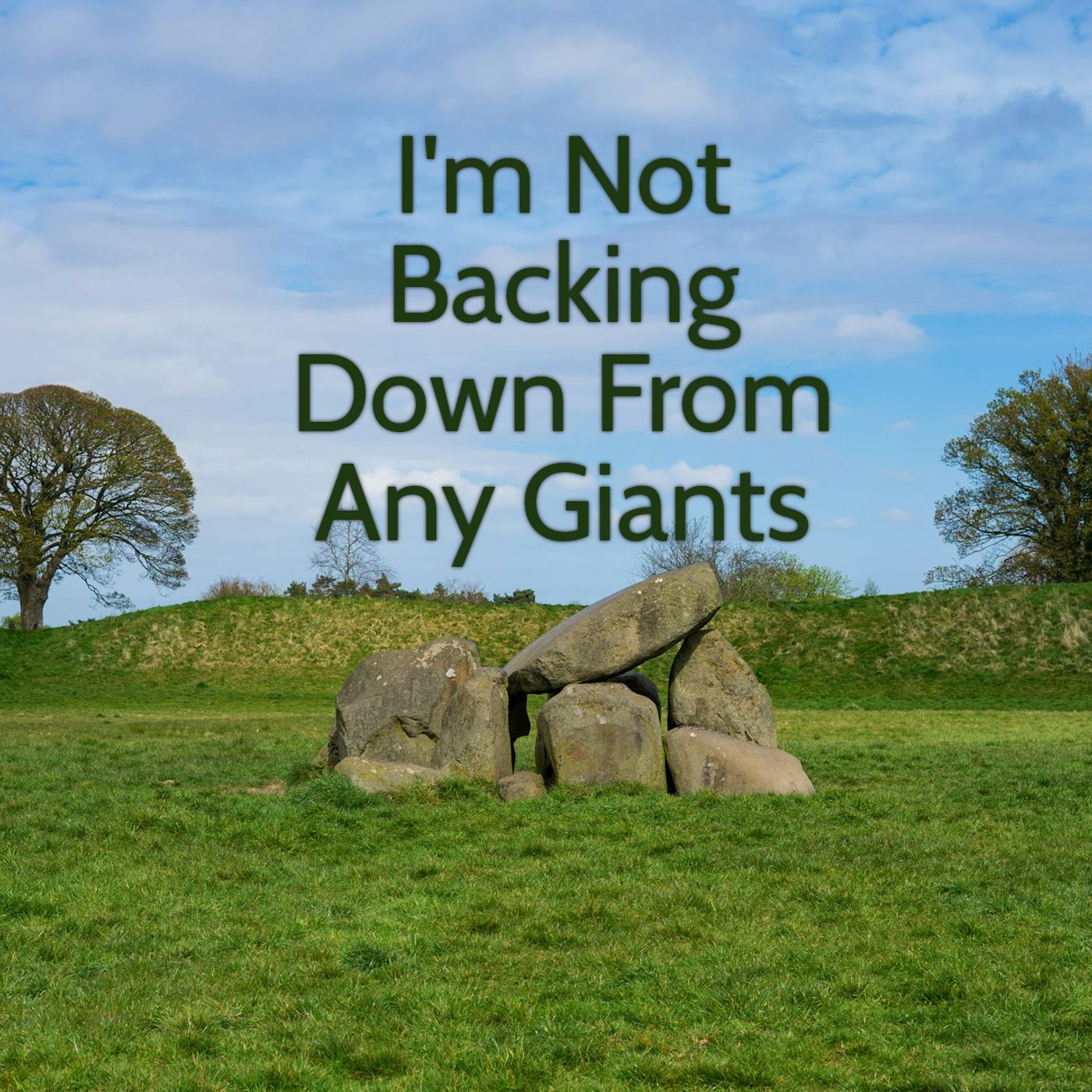 I'm Not Backing Down From Any Giants episode artwork