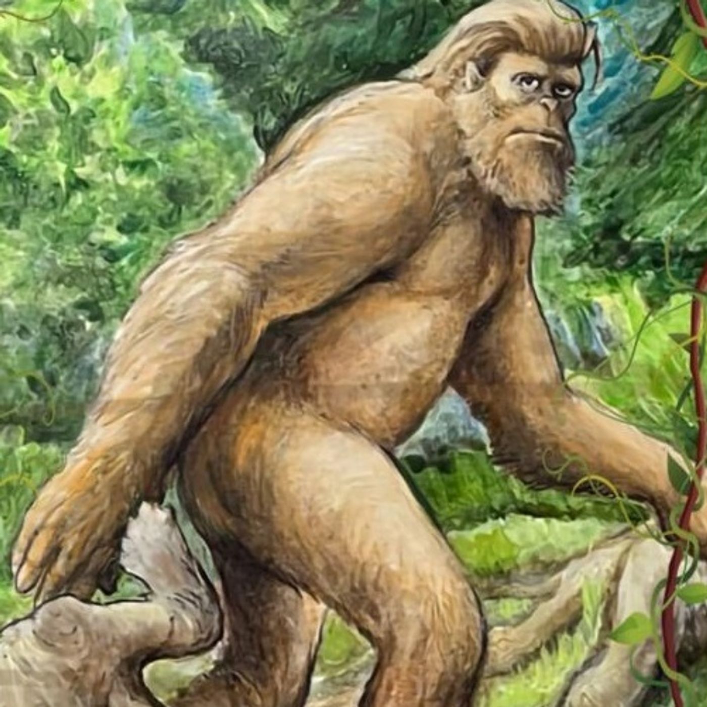 Rob McConnell Interviews - SILVER LYNX - The Sacred Sasquatch Book