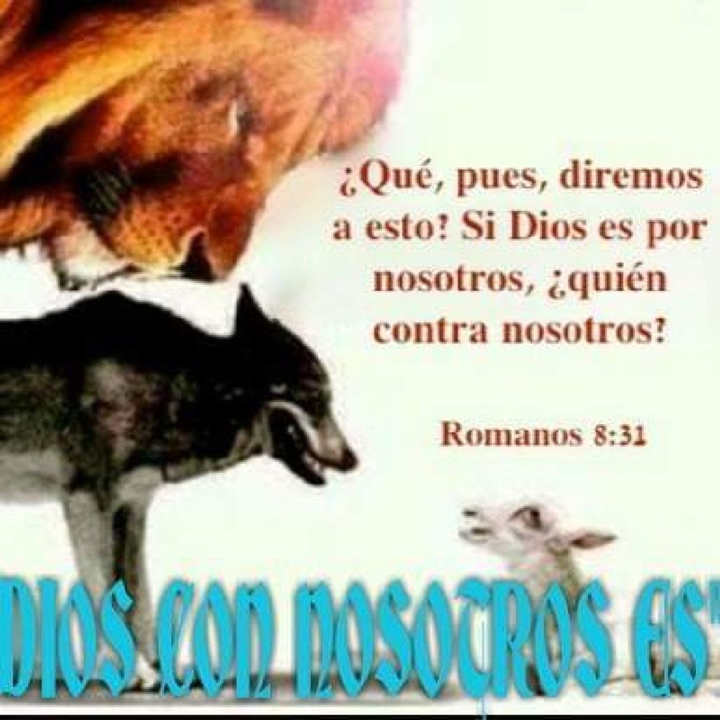 RADIO. Dios con Nosotros Es\