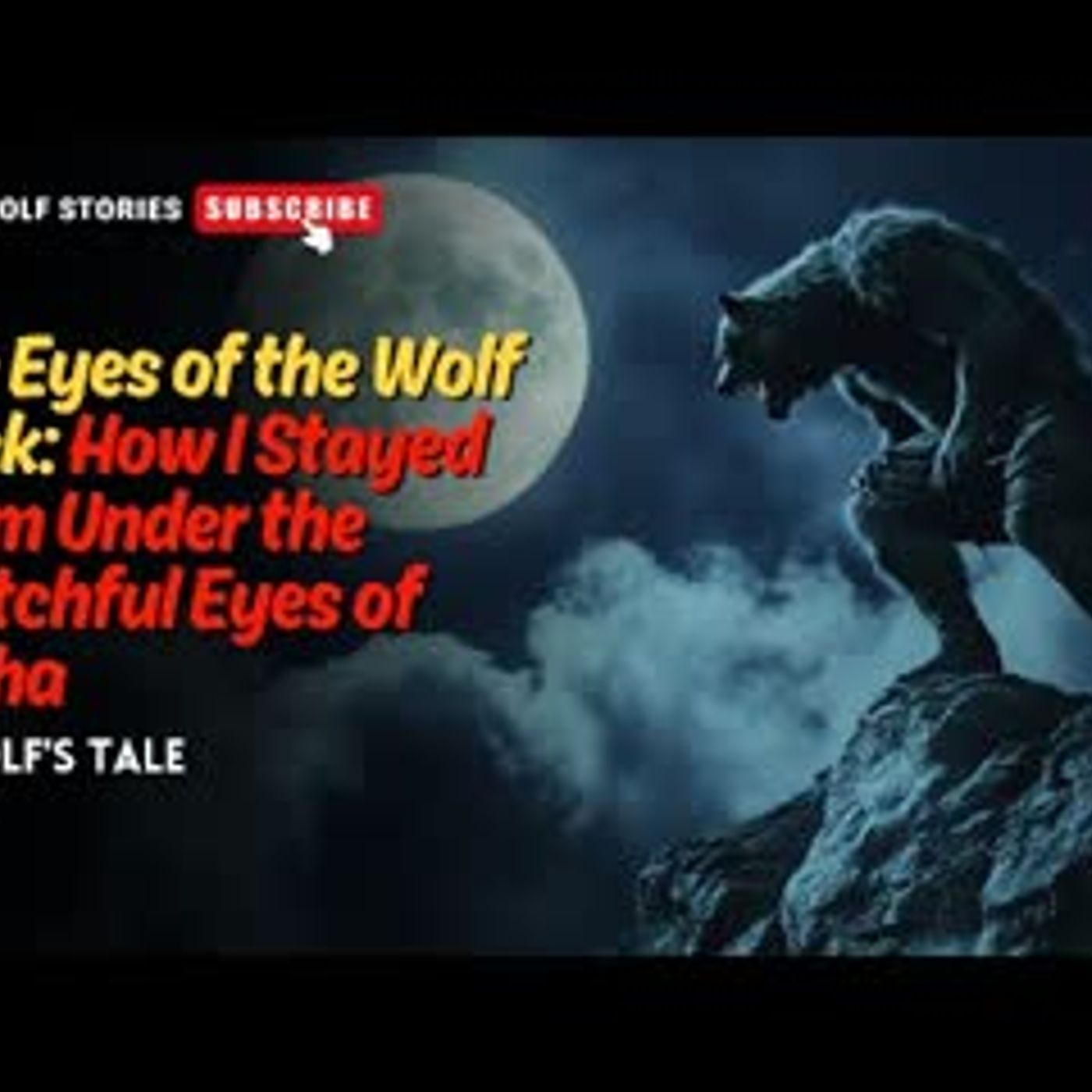 The Eyes of the Wolf Pack How I Stayed Calm Under the Watchful Eyes of Alpha   A Wolf's Tale EP7 episode artwork