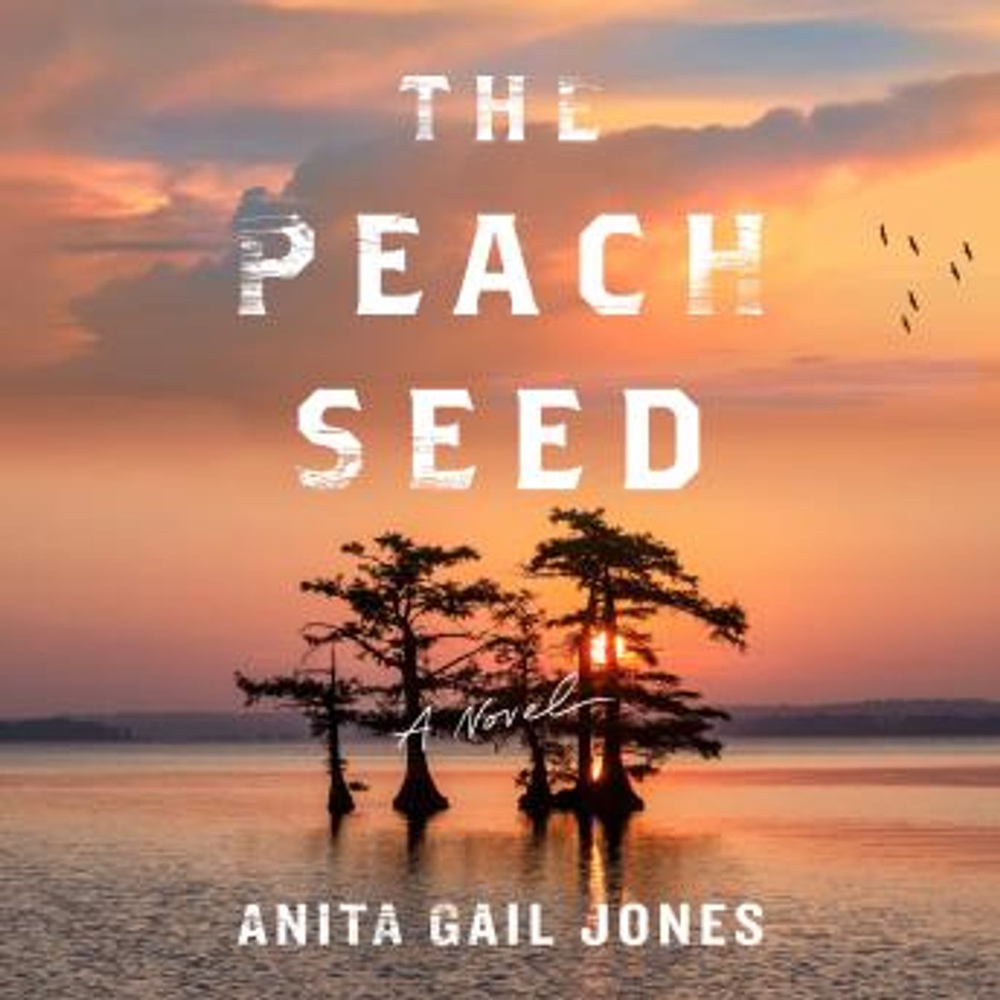 Listen to Trending Full Audiobooks in Fiction, Drama