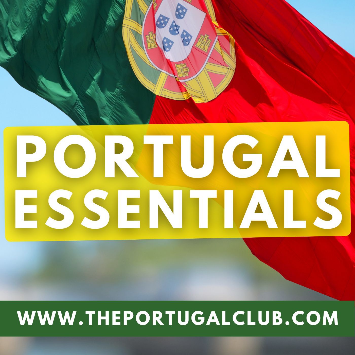 How to buy euros in Portugal: Wise? Revolut? Or SpartanFX for personal service!