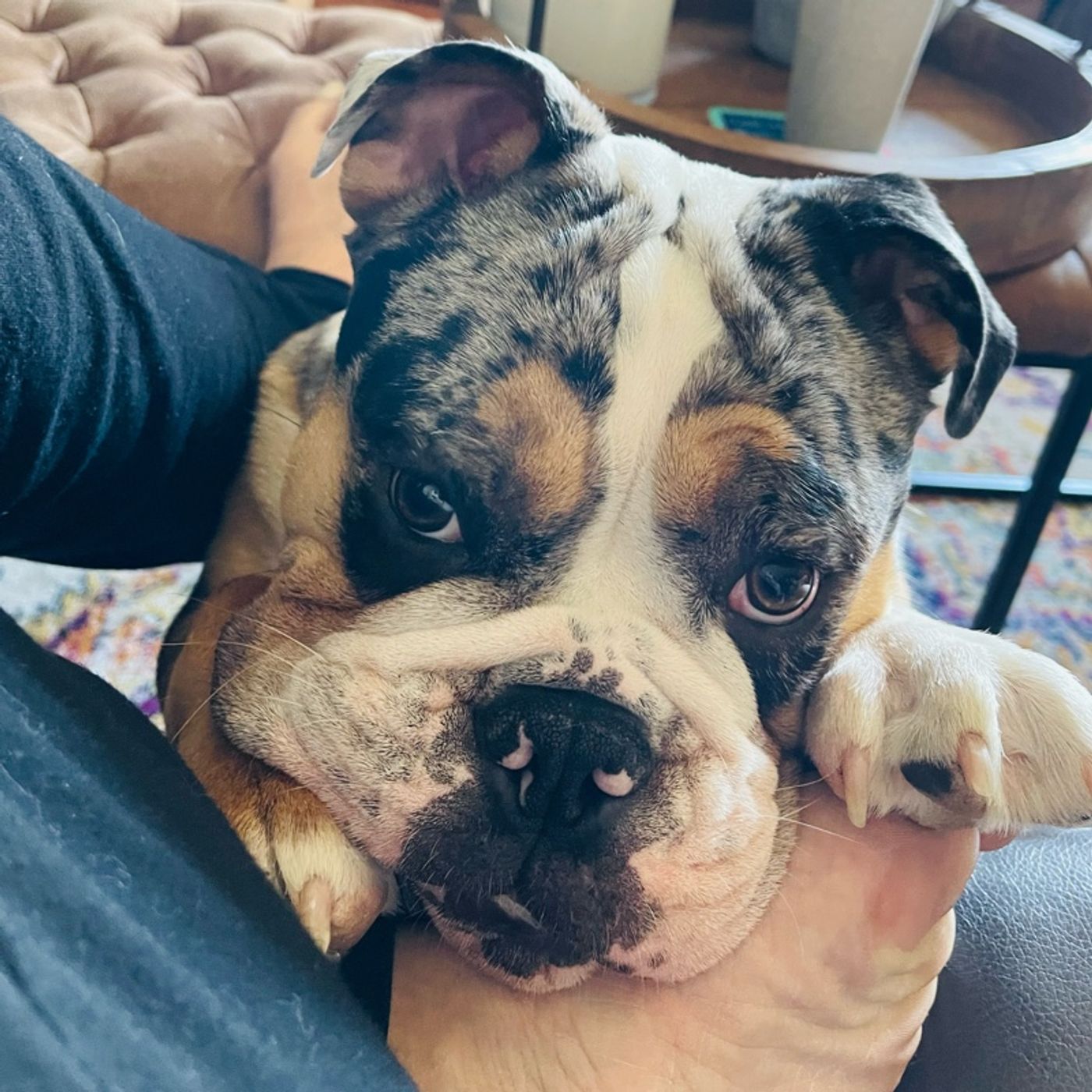 “A voice for all”