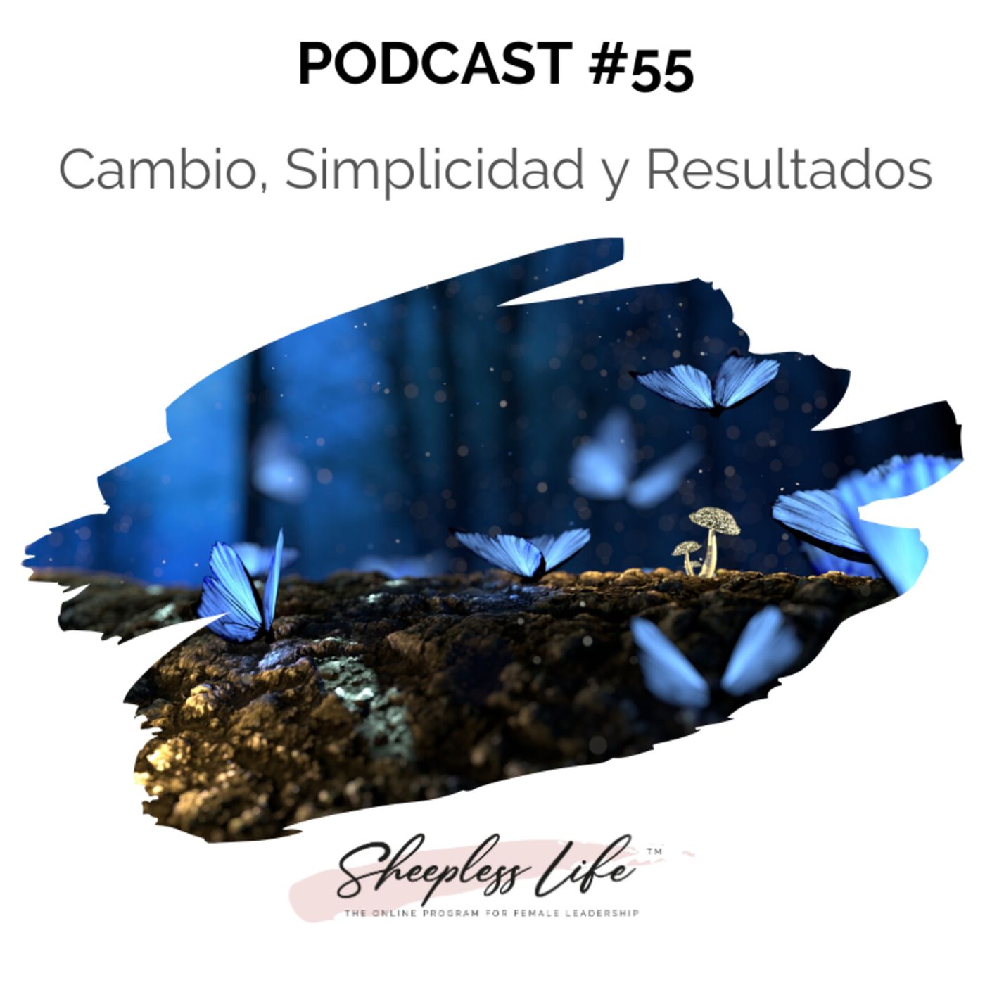 055 - Cambio, simplicidad y resultados