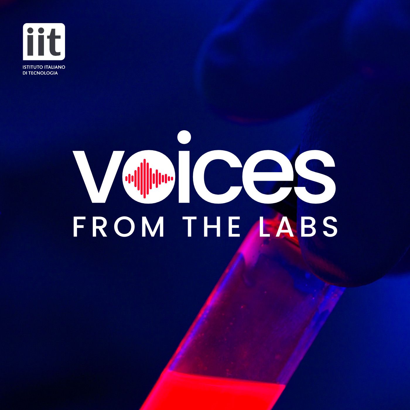 Voices from the labs