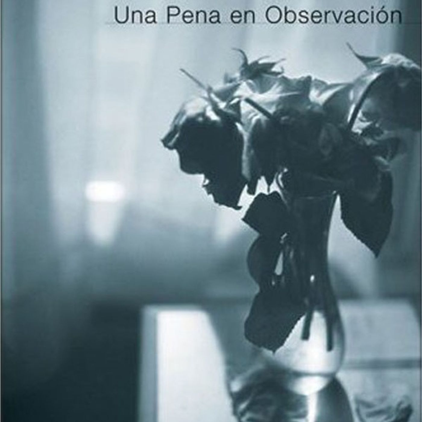 (Resumen) Una pena en observacion - C. S. Lewis