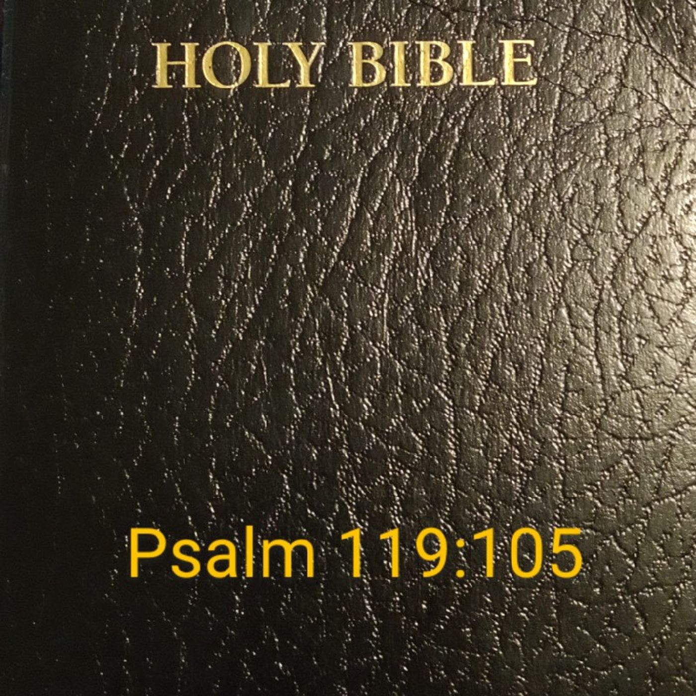 Bible Believer Podcast