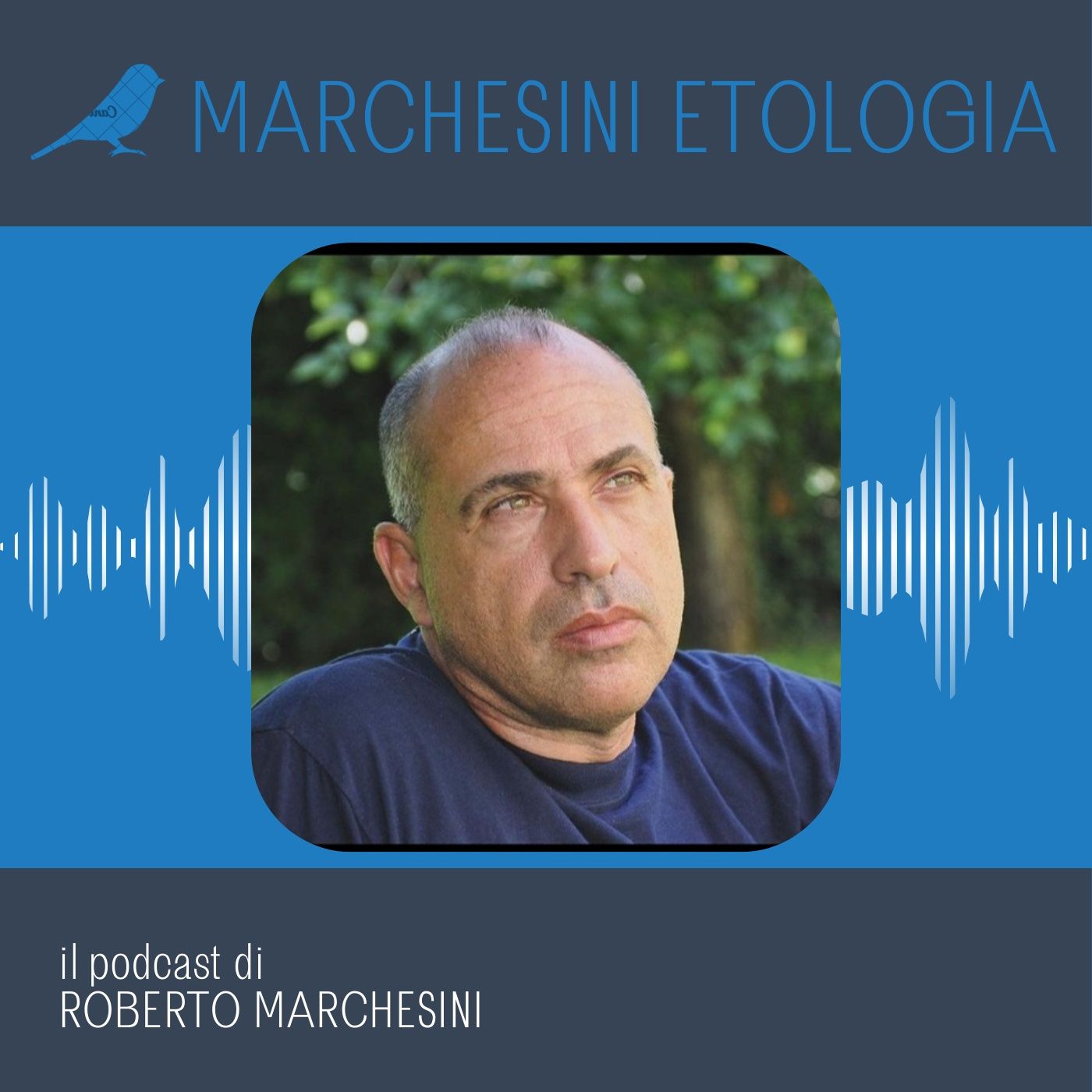 Marchesini Etologia