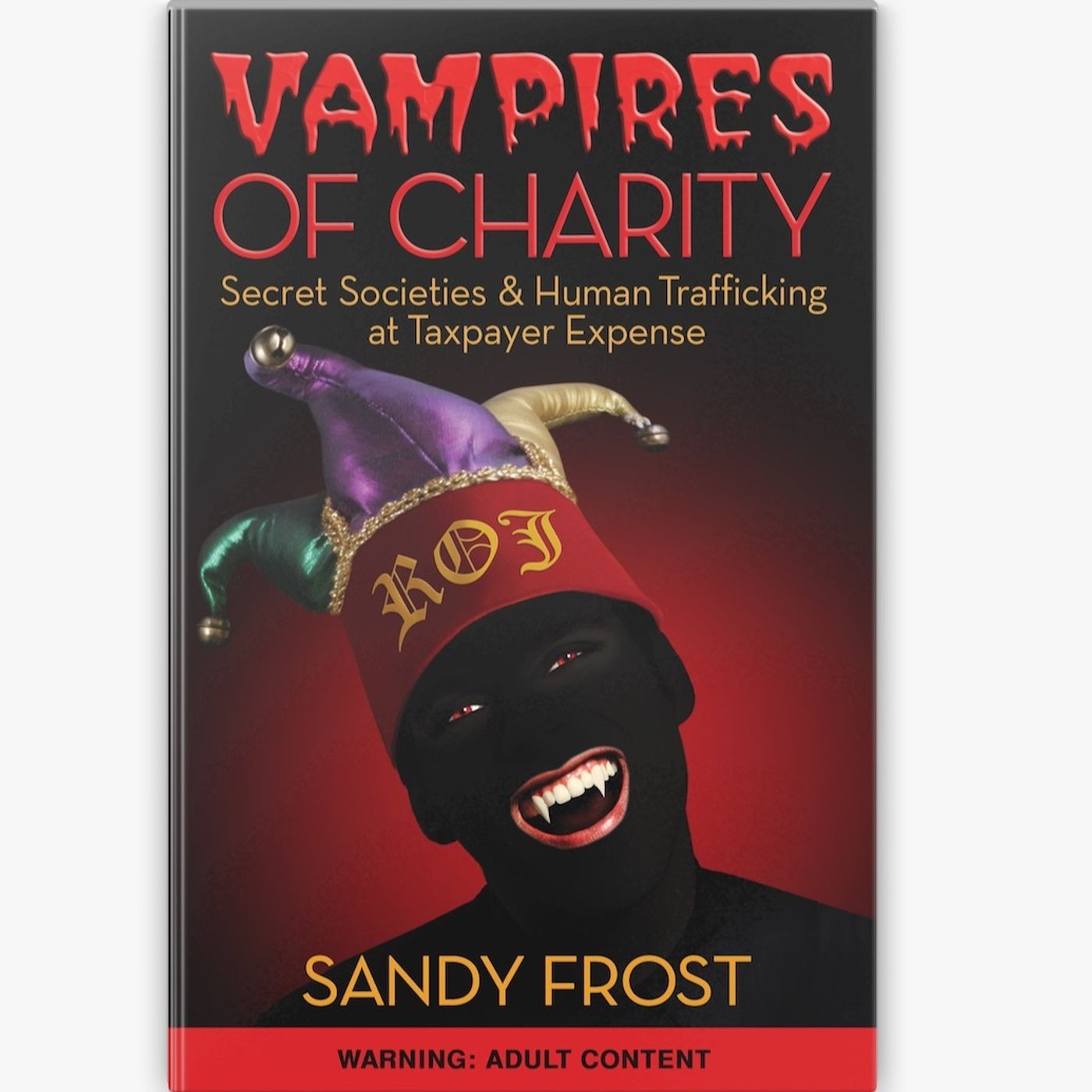 Rob McConnell Interviews - SANDY FROST - Vampires of Charity, Secret Societies and Human Trafficking at Taxpayer Expense