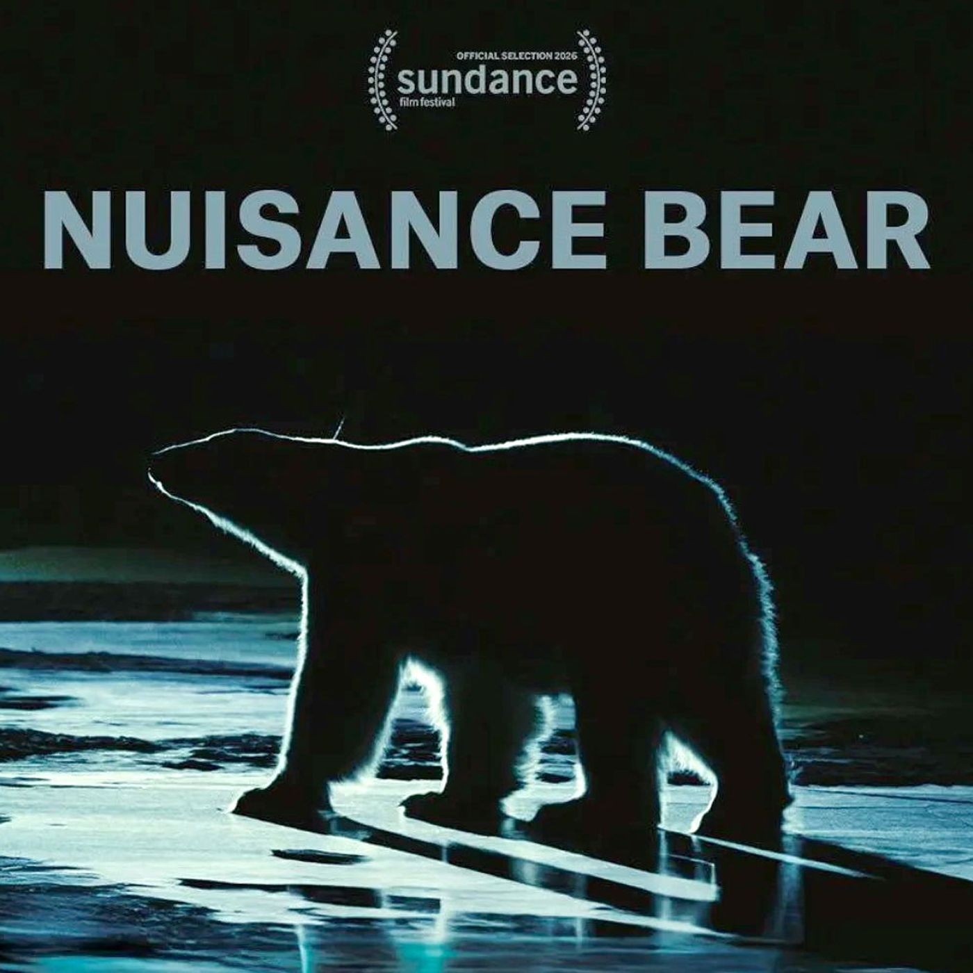 Special Report: Andres Landau on Nuisance Bear (2026)