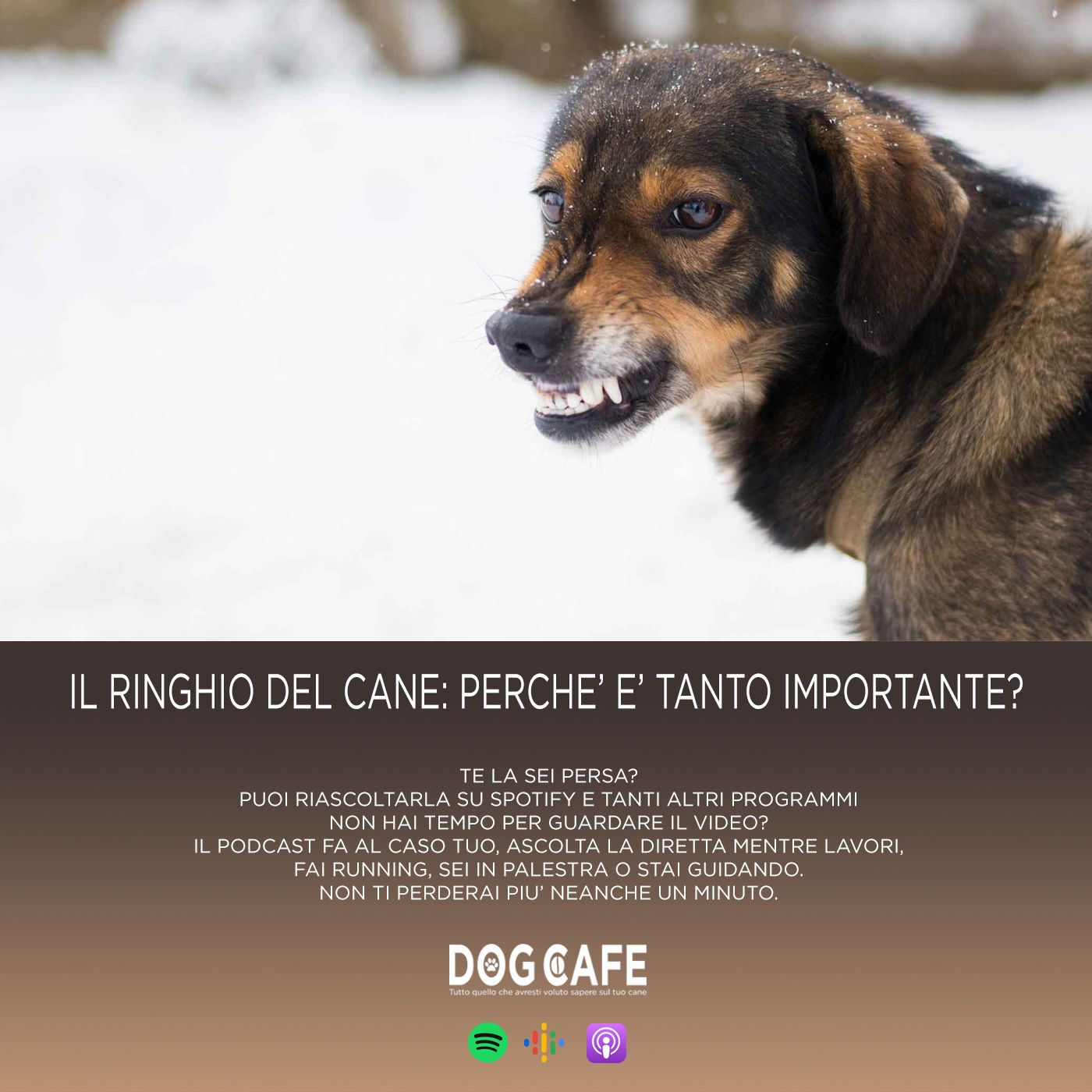 Dog Cafe Podcast